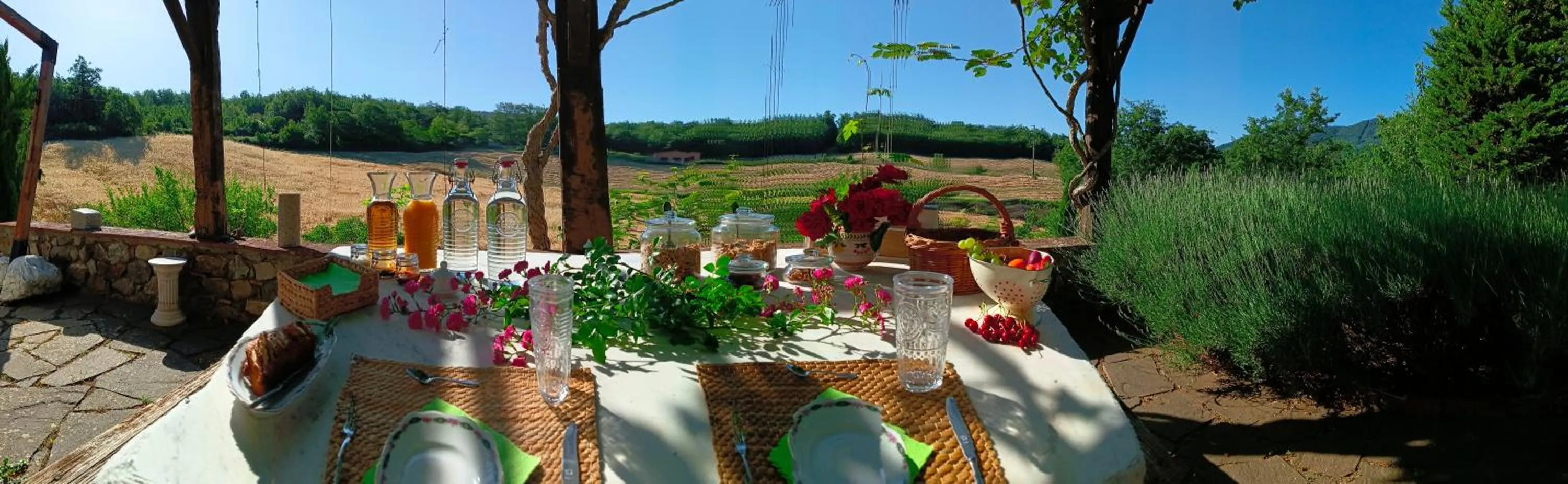 Garden in Ca'Novae - Tuscany Farmhouse