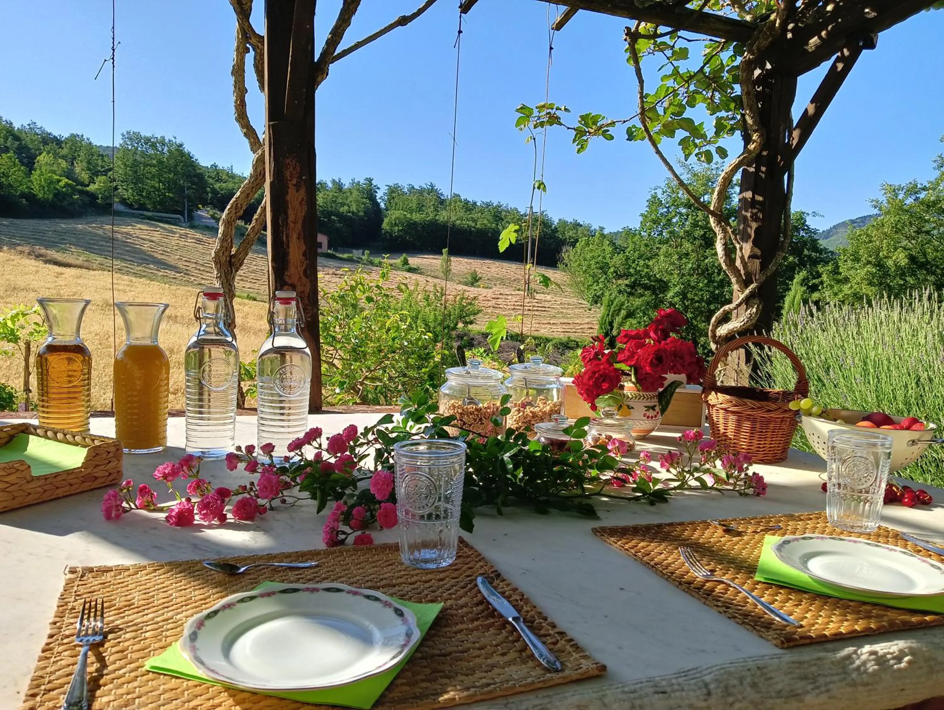 Garden in Ca'Novae - Tuscany Farmhouse