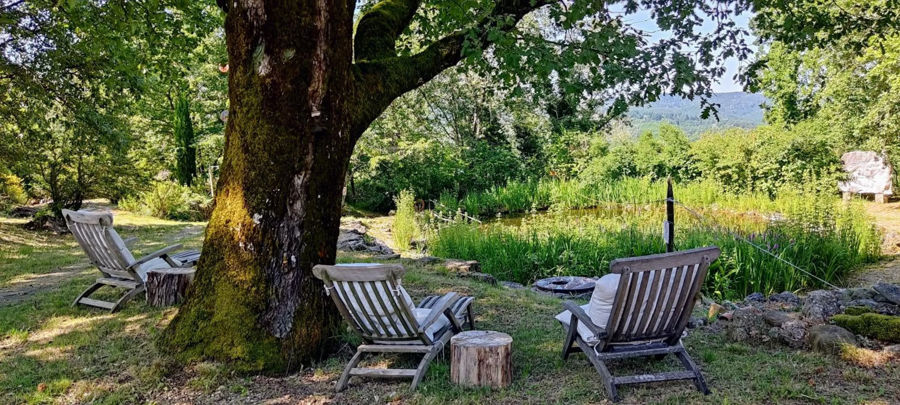 Garden in Ca'Novae - Tuscany Farmhouse