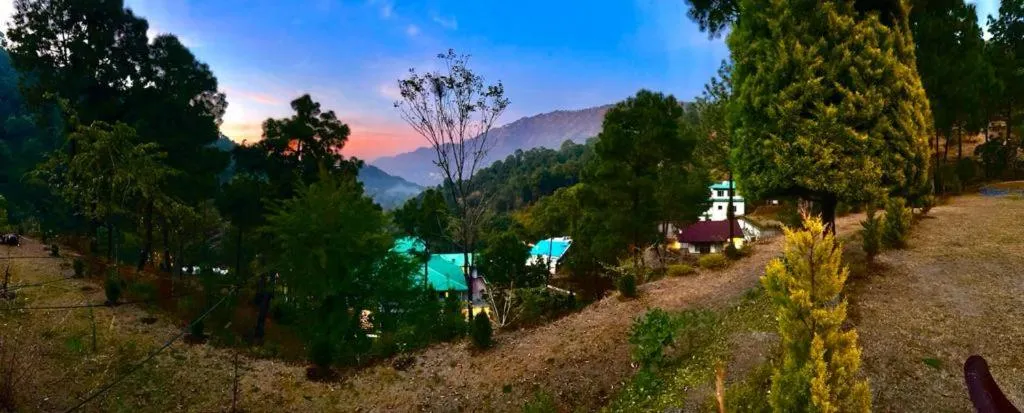 Pineland Resorts & Chalets Kasauli