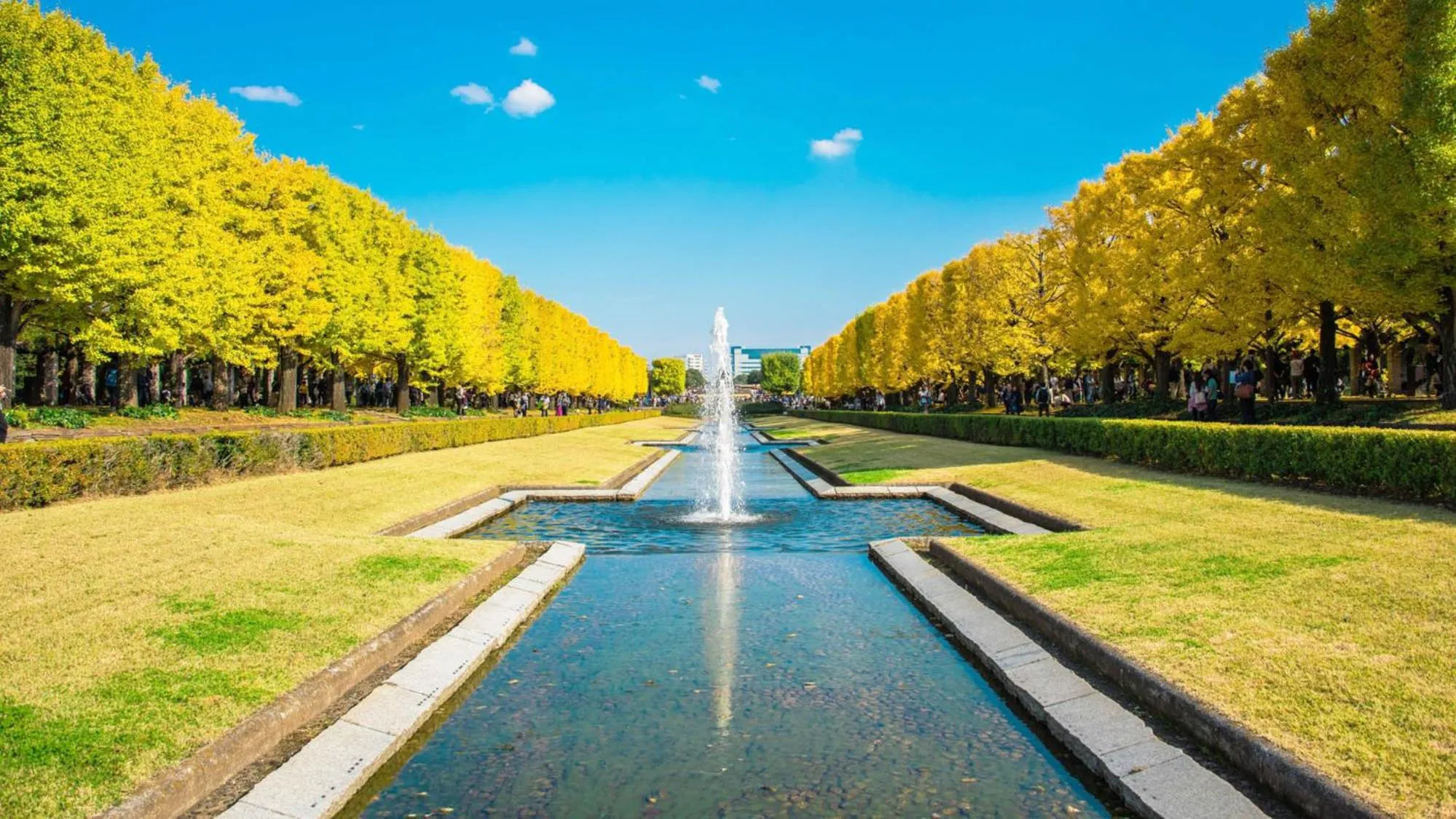 Nearby landmark in Toyoko Inn Tokyo Tachikawa eki Kita guchi