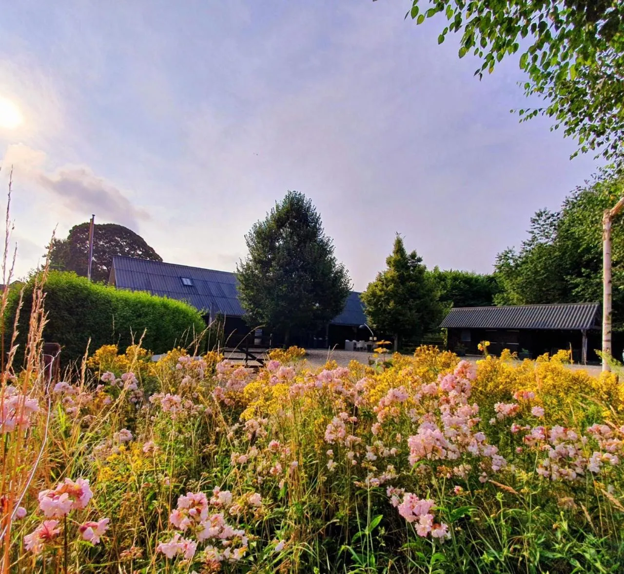 B&B Mooi Montferland