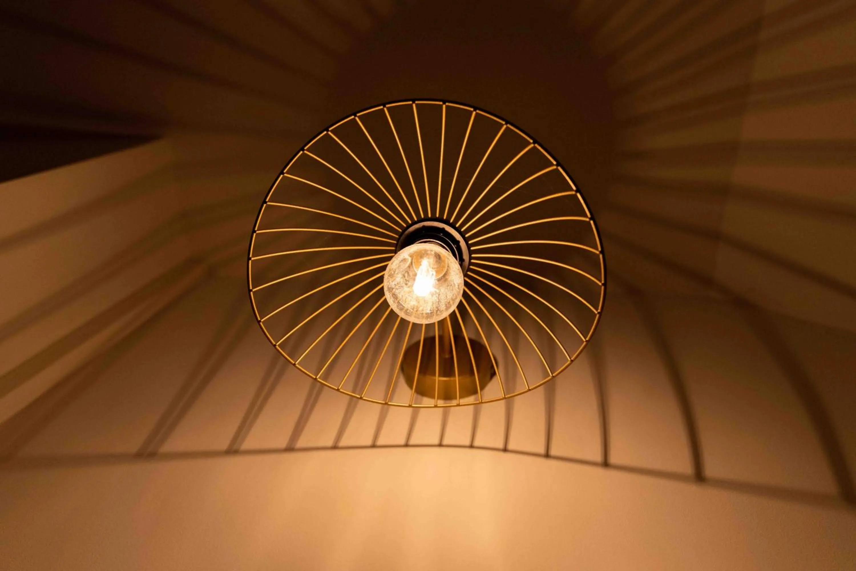 Decorative detail in Le Parc du Magnolia