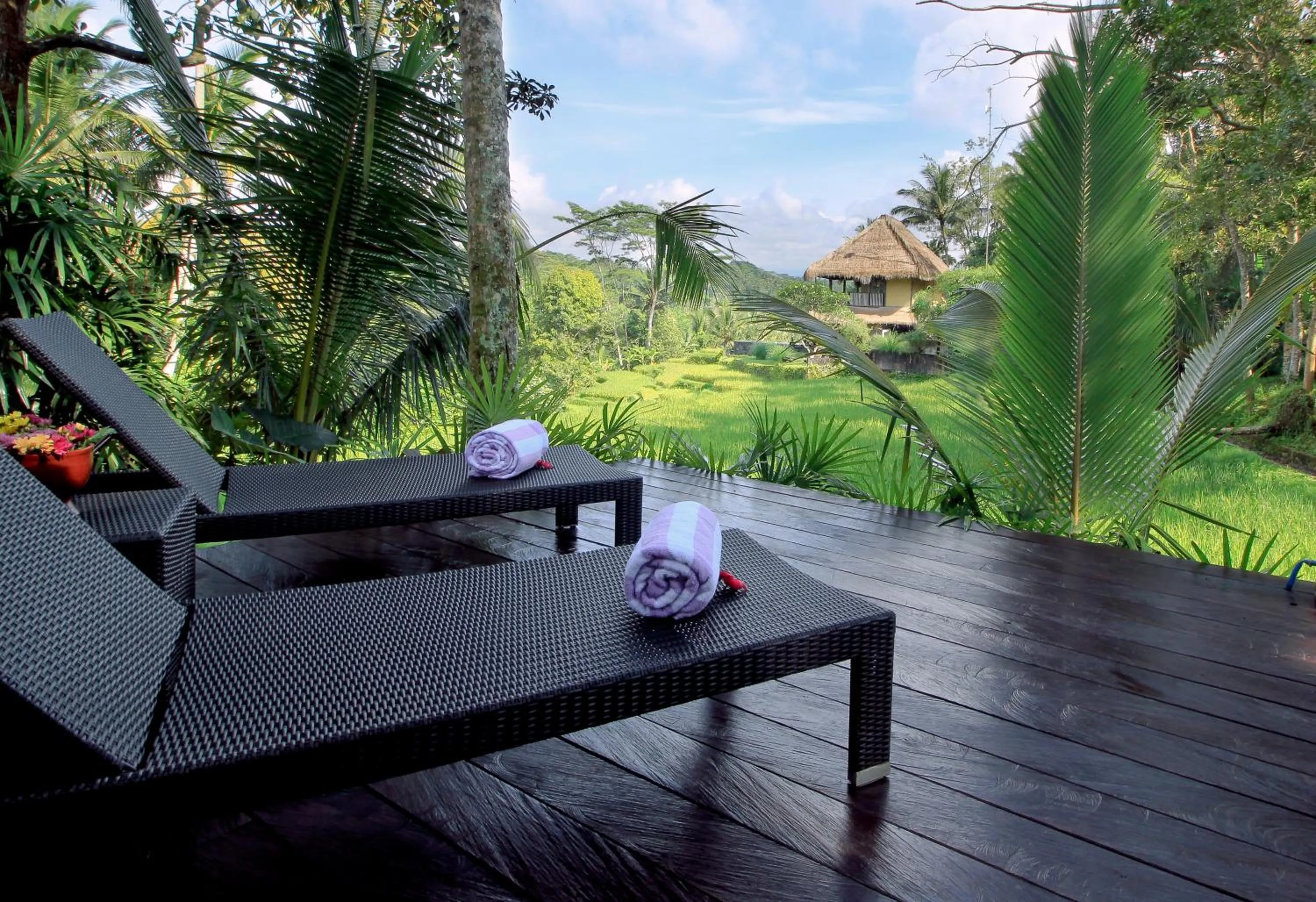 Swimming pool in Masakali Retreat