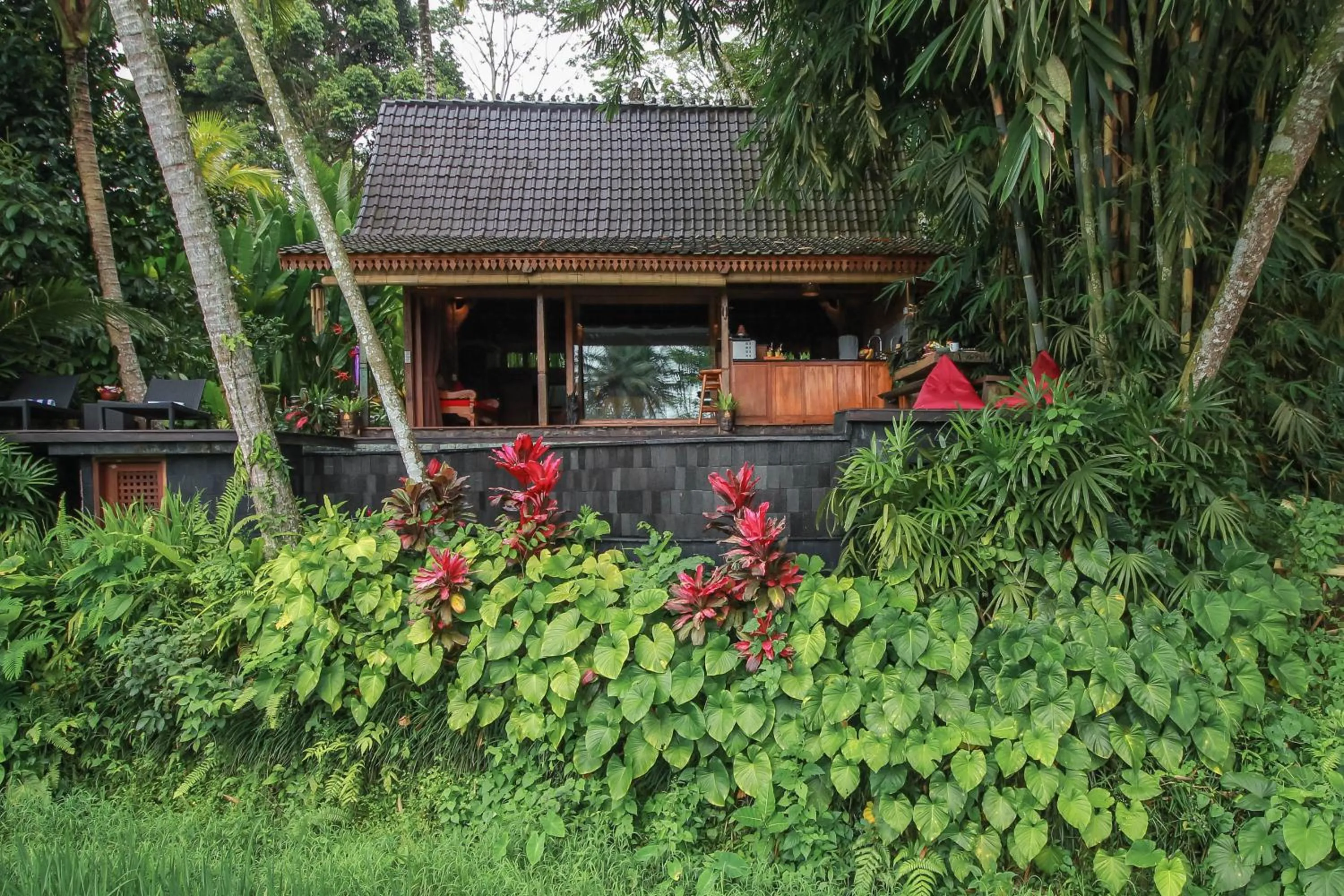 View (from property/room) in Masakali Retreat