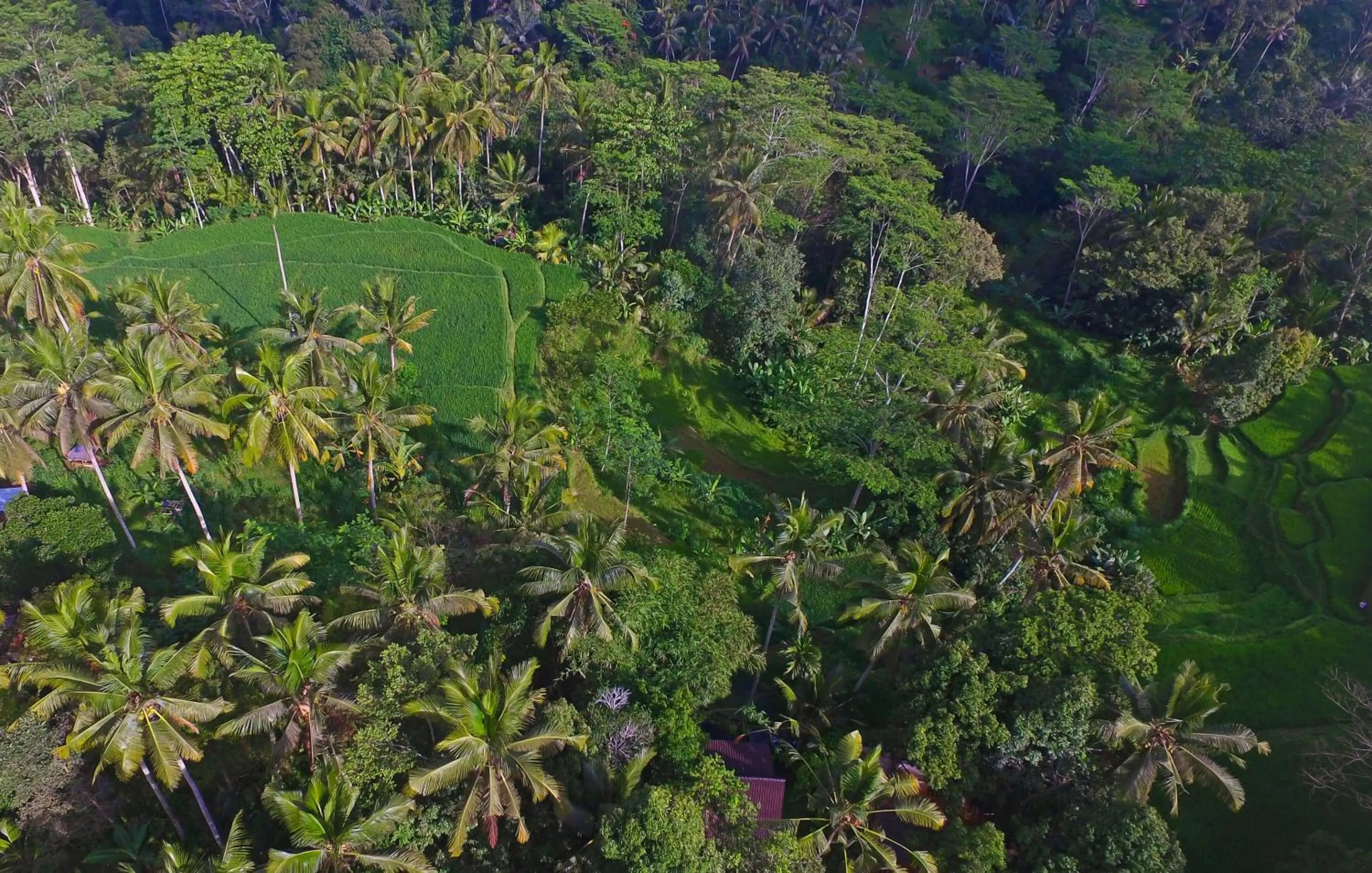 Landmark view in Masakali Retreat