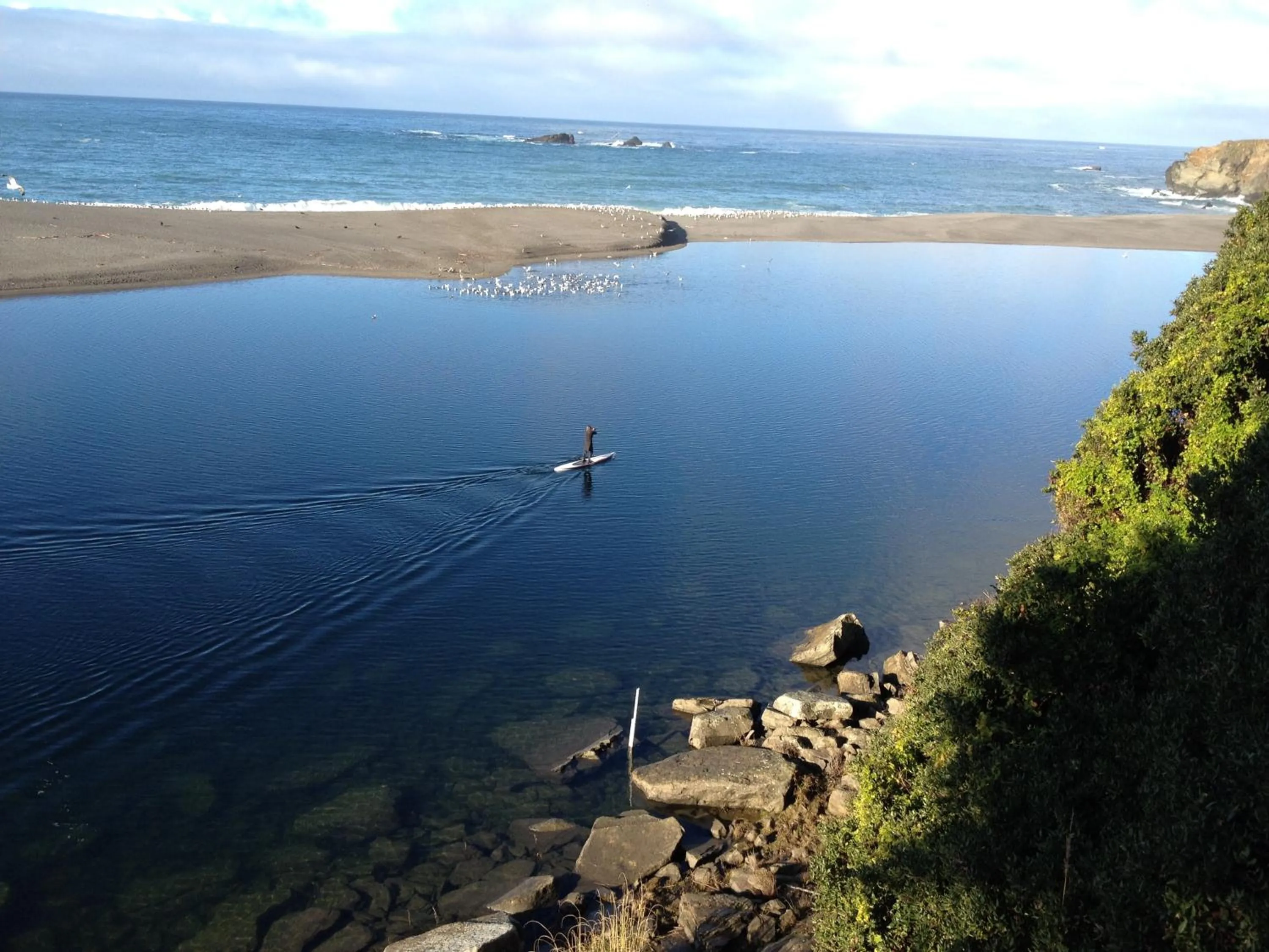 View (from property/room) in Gualala Surf Inn on the ocean bluff
