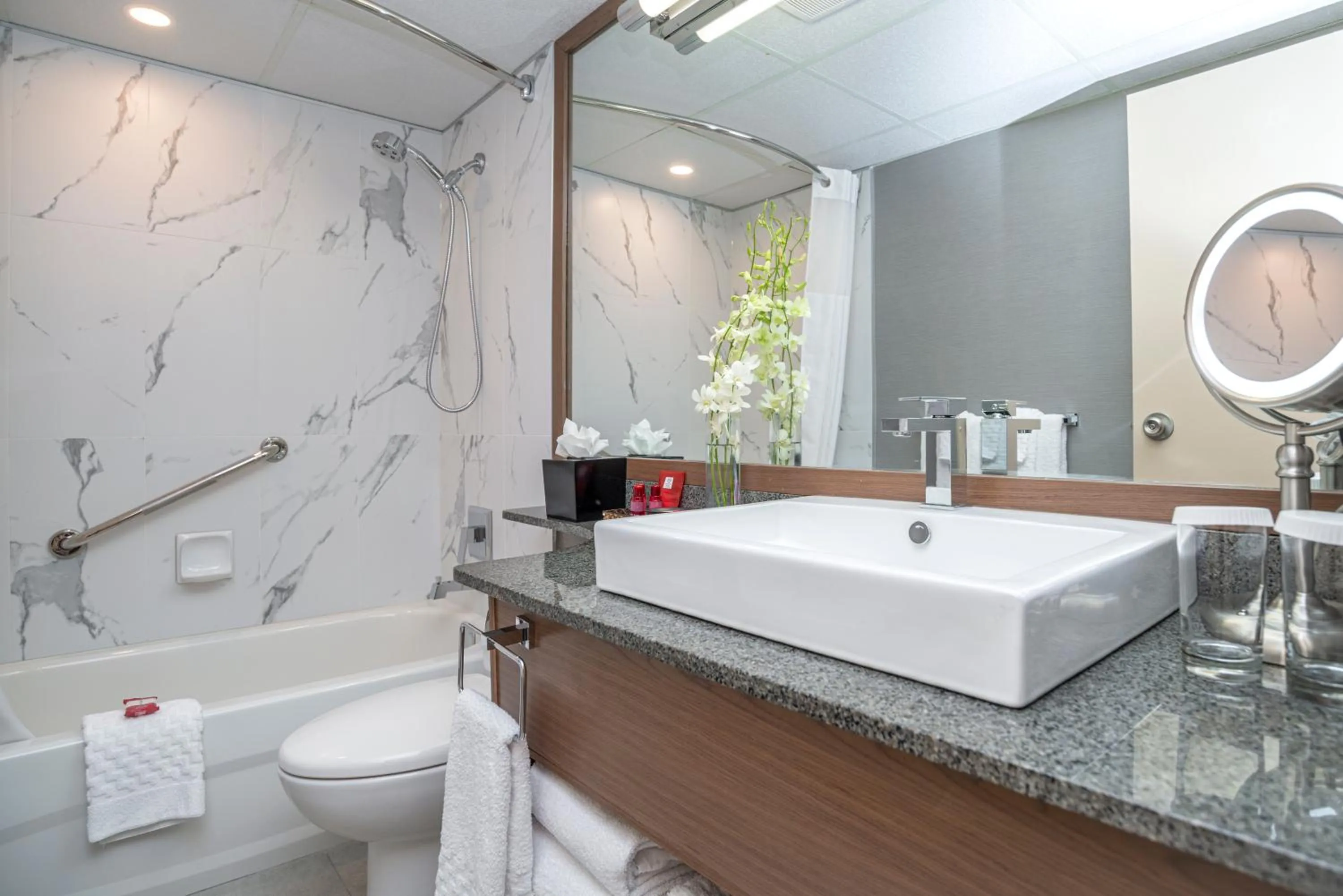 Bathroom in Best Western Premier Chateau Granville Hotel & Suites & Conference Centre