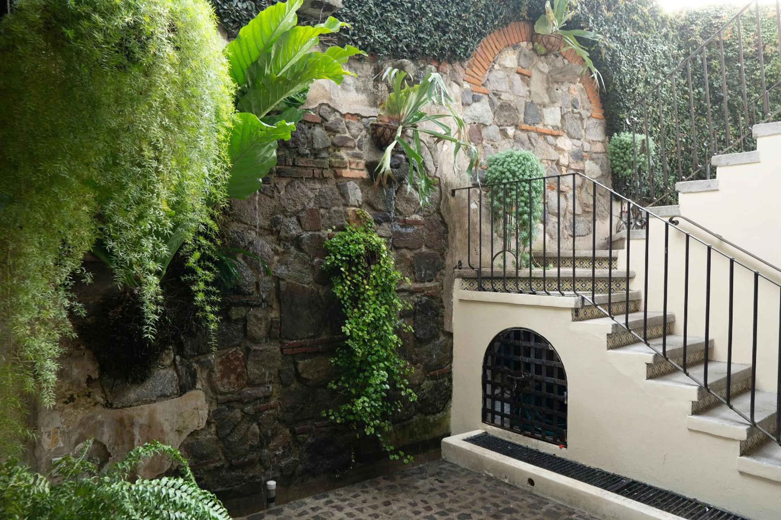 Garden in Casa Noble Hotel