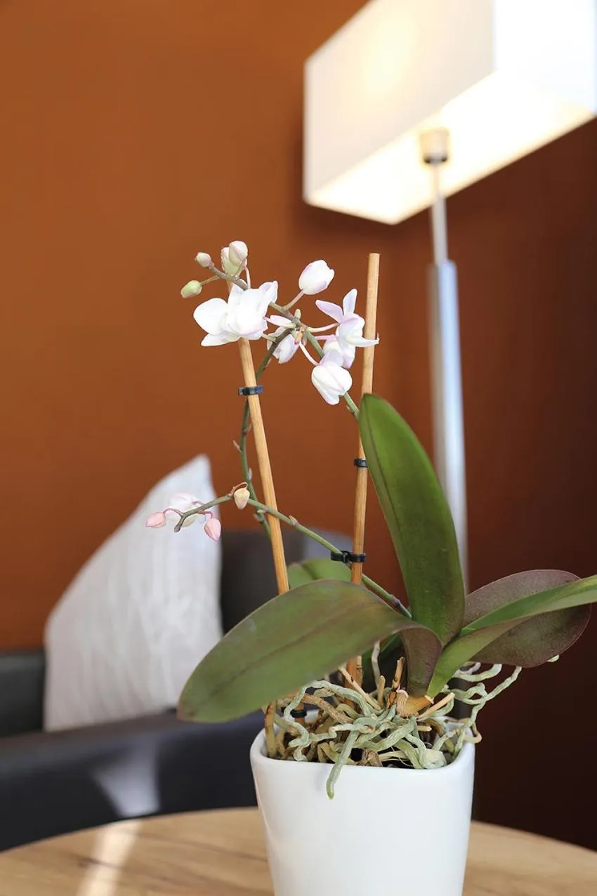 Trip Inn Landhotel Krone