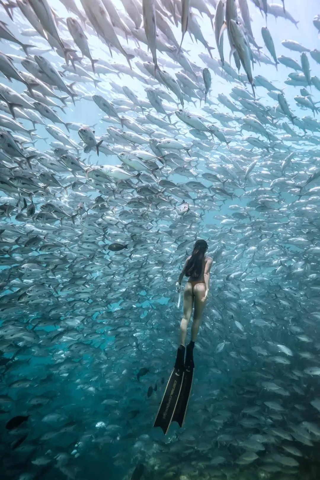 Diving in Sipadan Inn Service Apartments Semporna