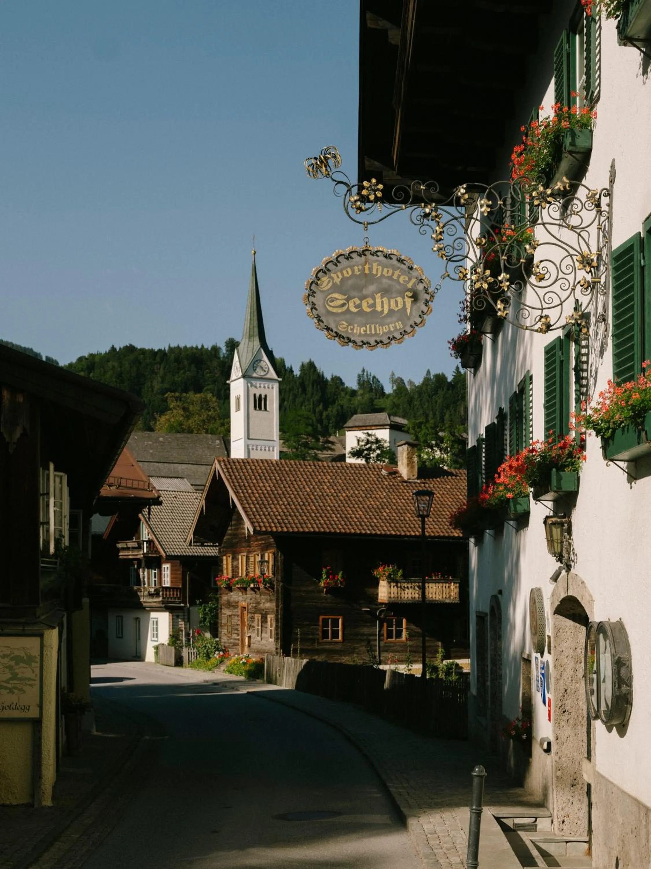 Seehof Goldegg