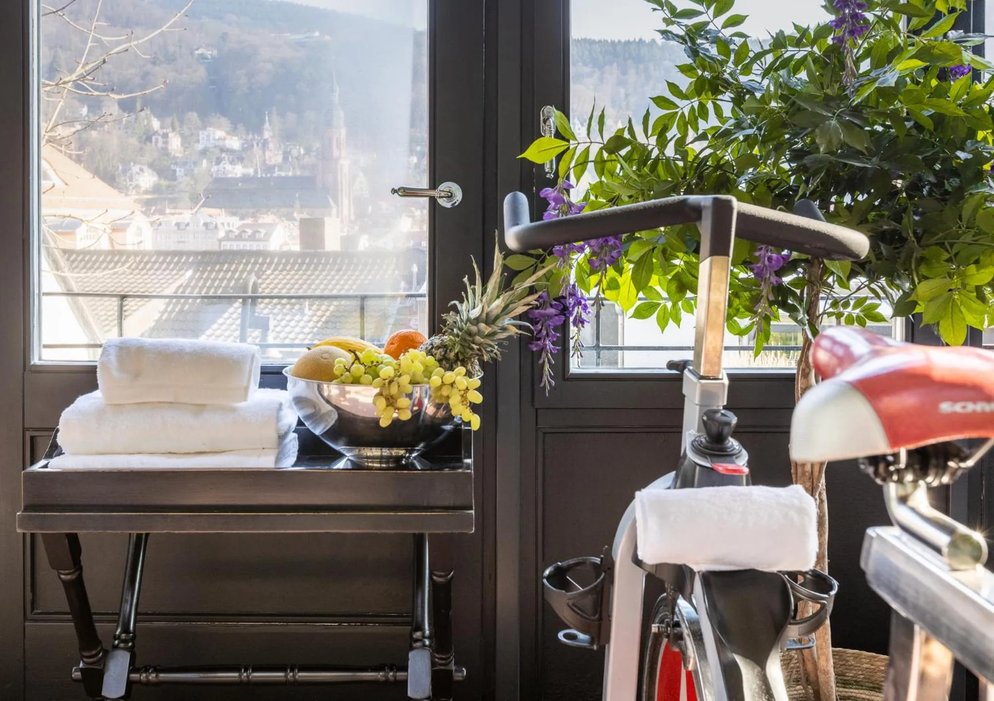 Fitness centre/facilities in House of Hütter- Heidelberg Suites Boutique