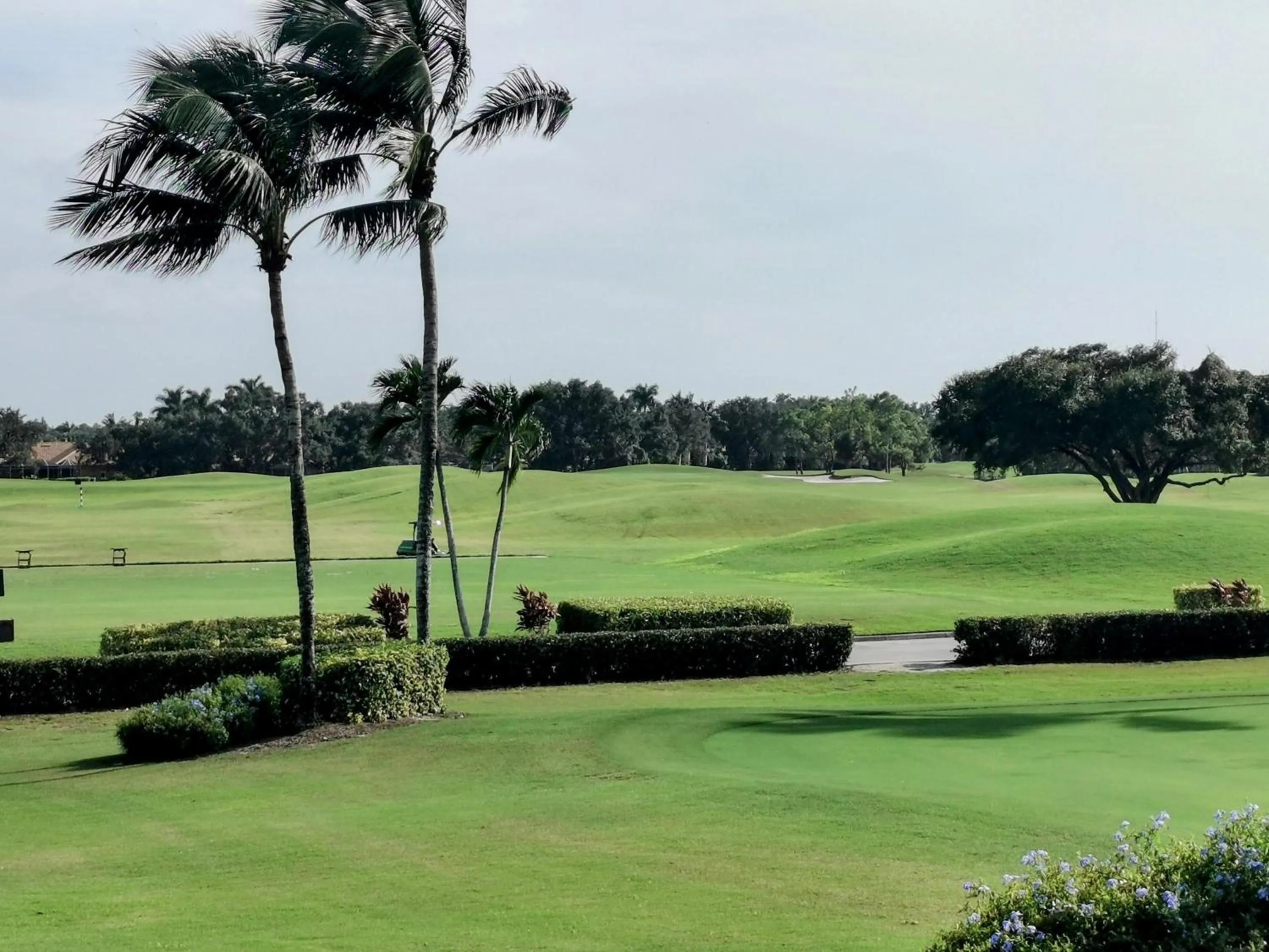 Golfcourse in GreenLinks Luxury Villa at Lely Resort Golf - 3 Bedrooms