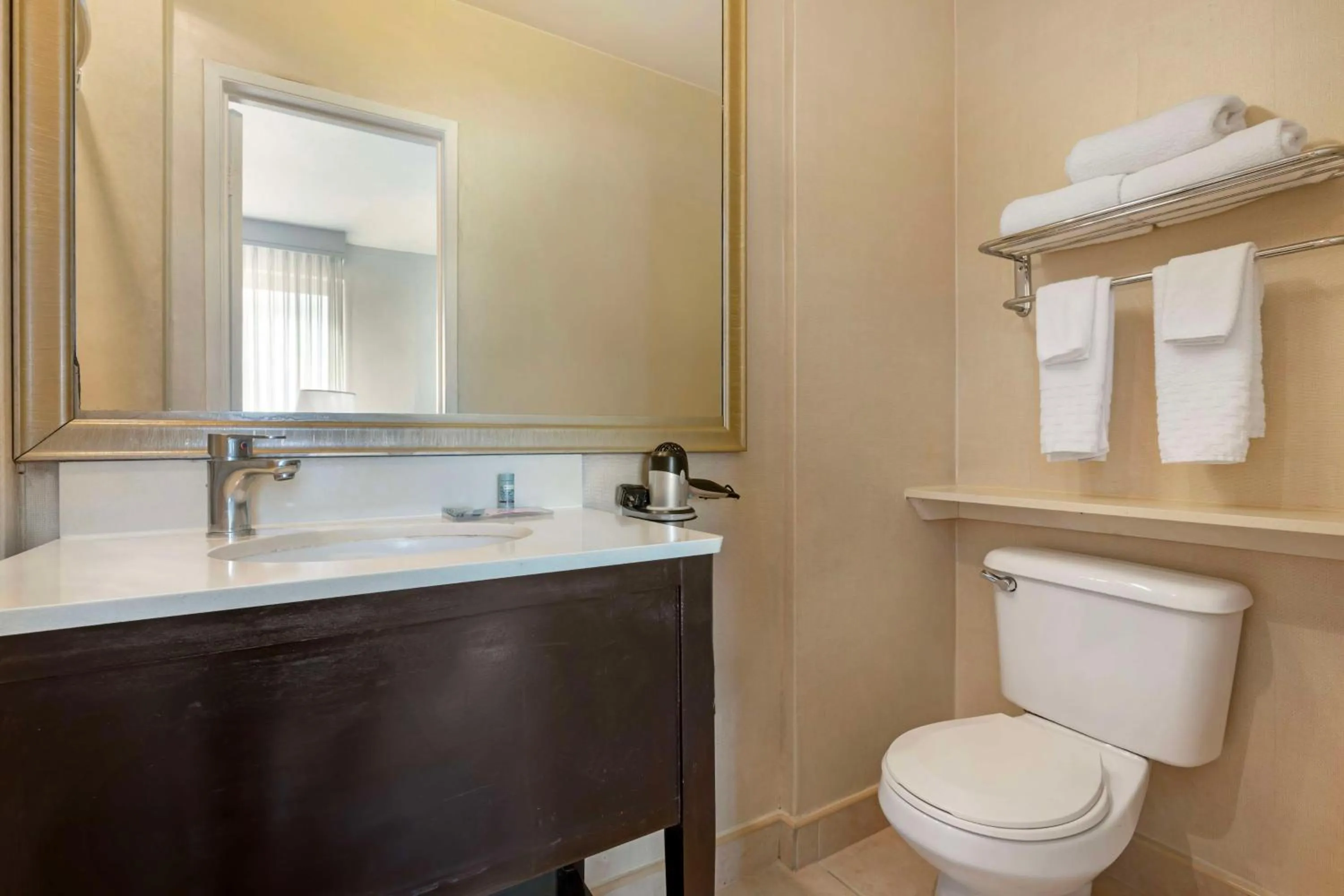 Bathroom in Best Western Royal Palace Inn & Suites