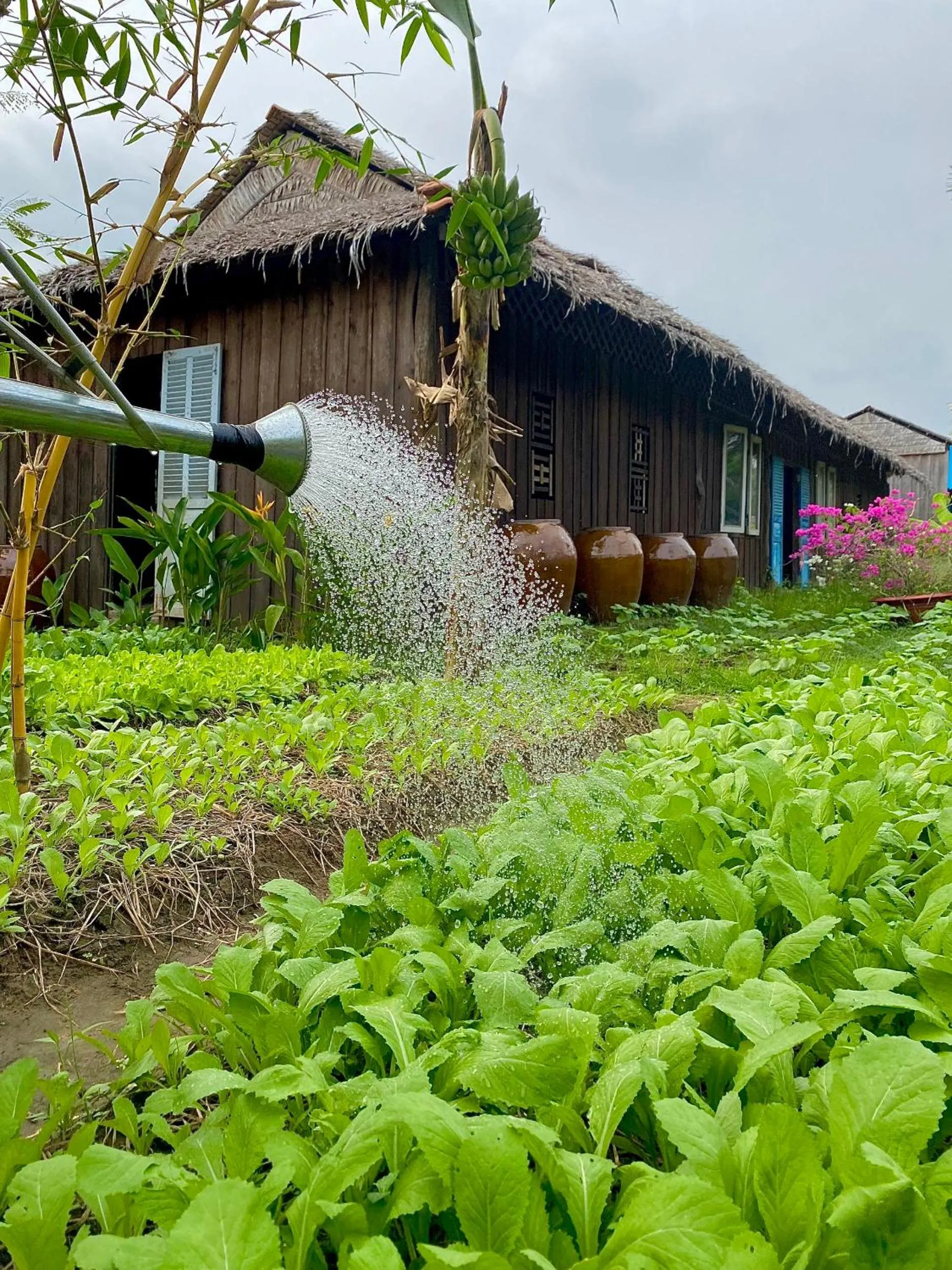 MEKONG SILT ECOLODGE