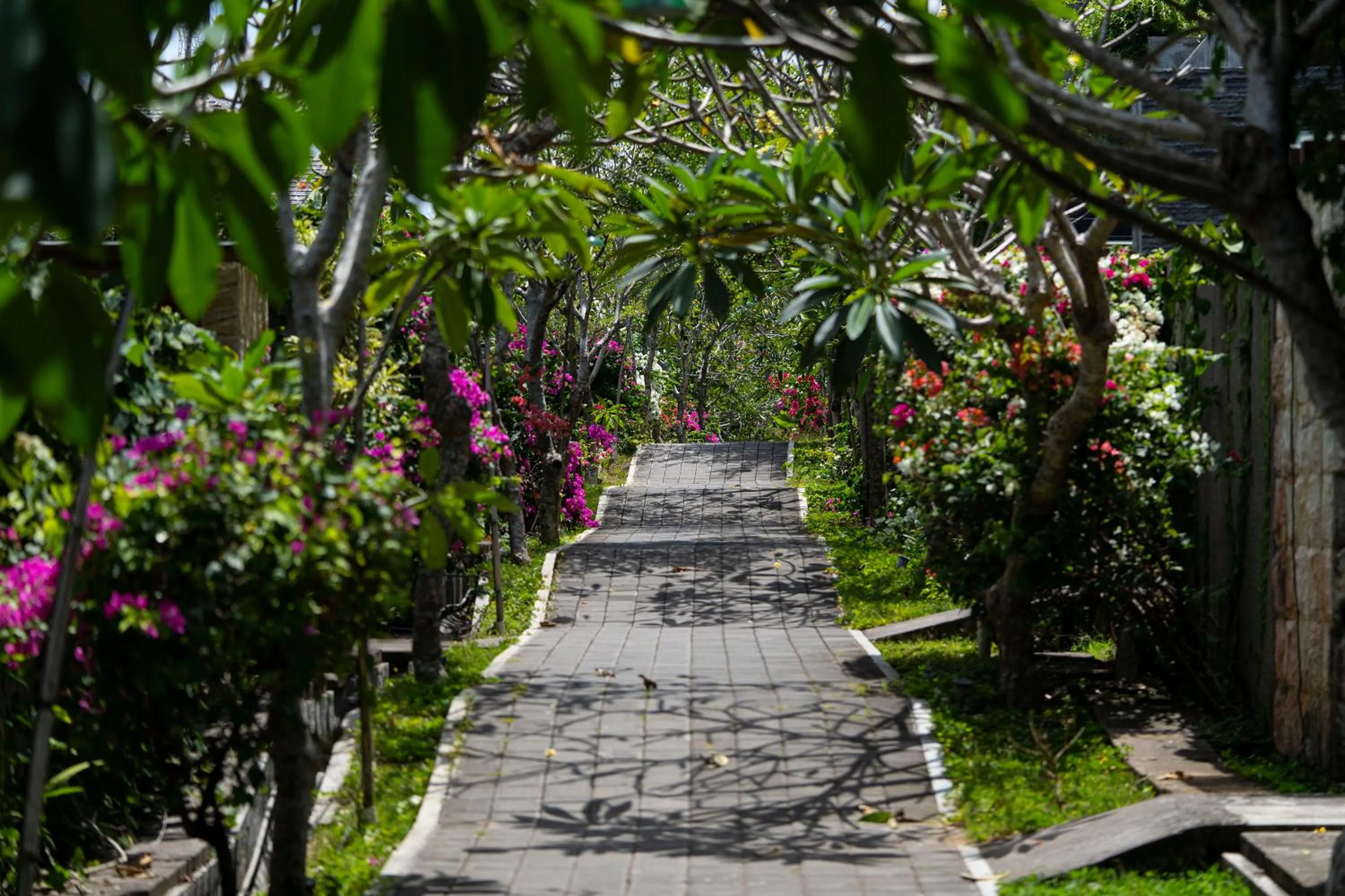 Day in Moritz Palm Villa