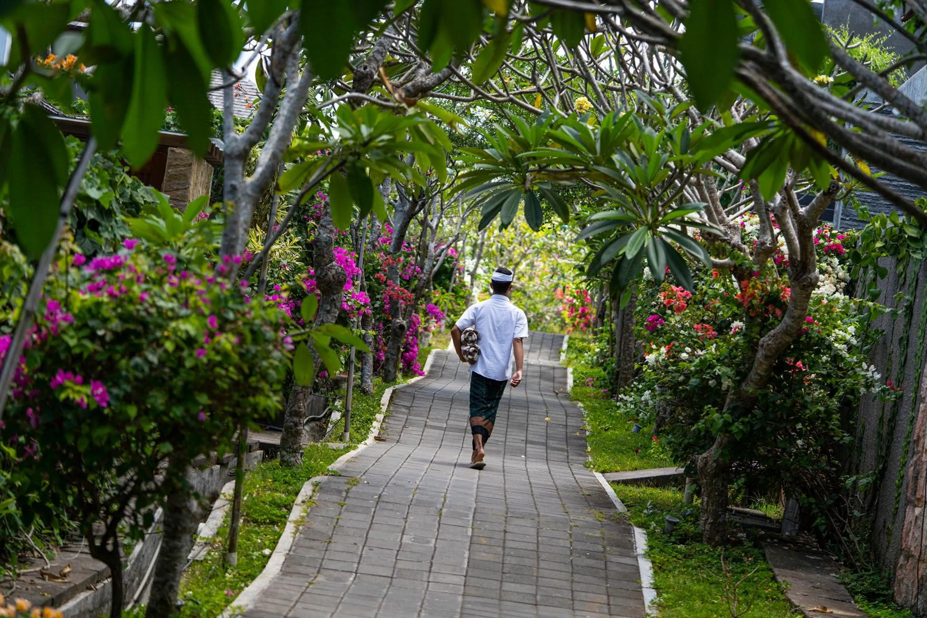 Day in Moritz Palm Villa