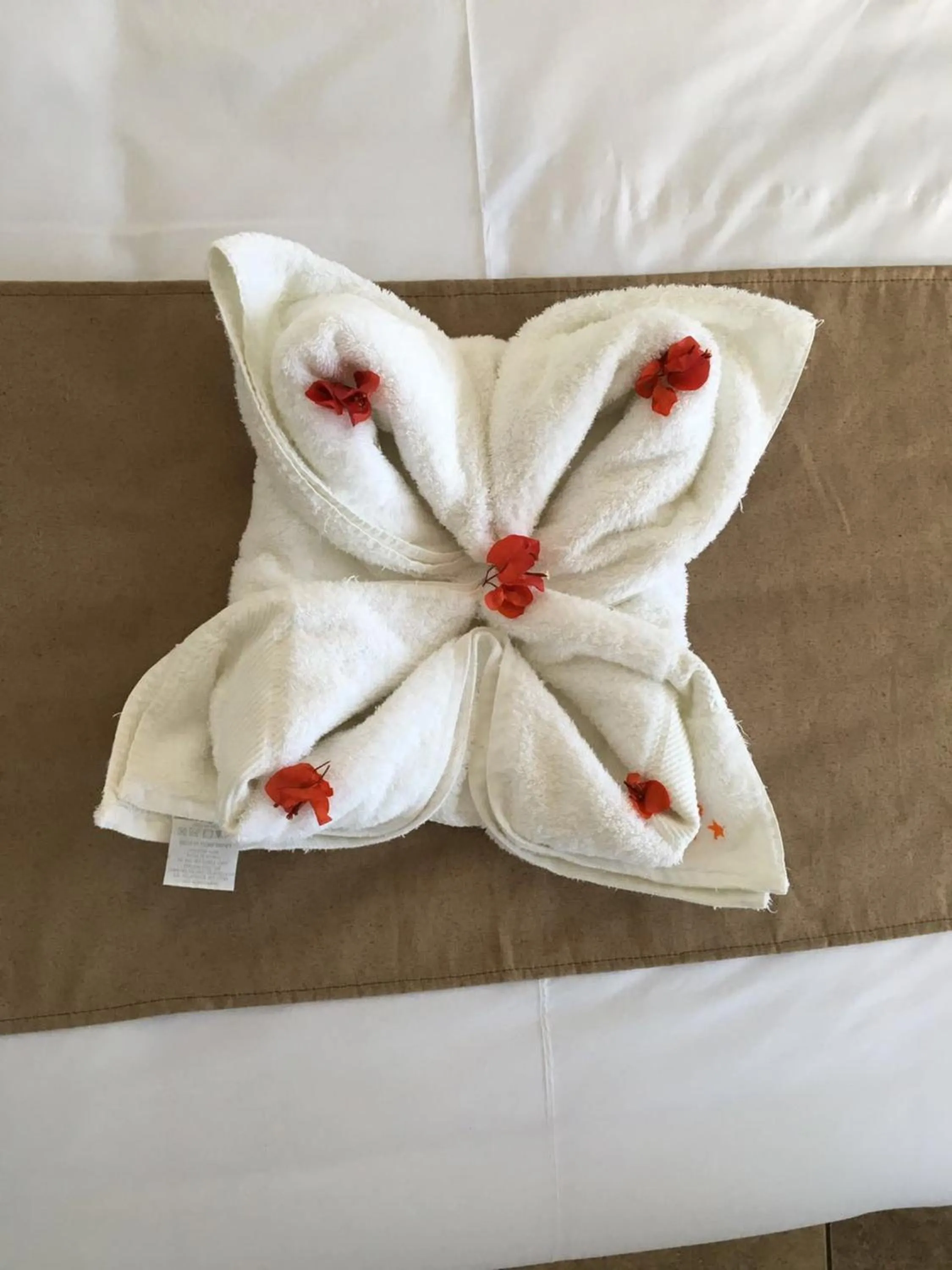 Decorative detail, Bed in Hotel Sol de Ica