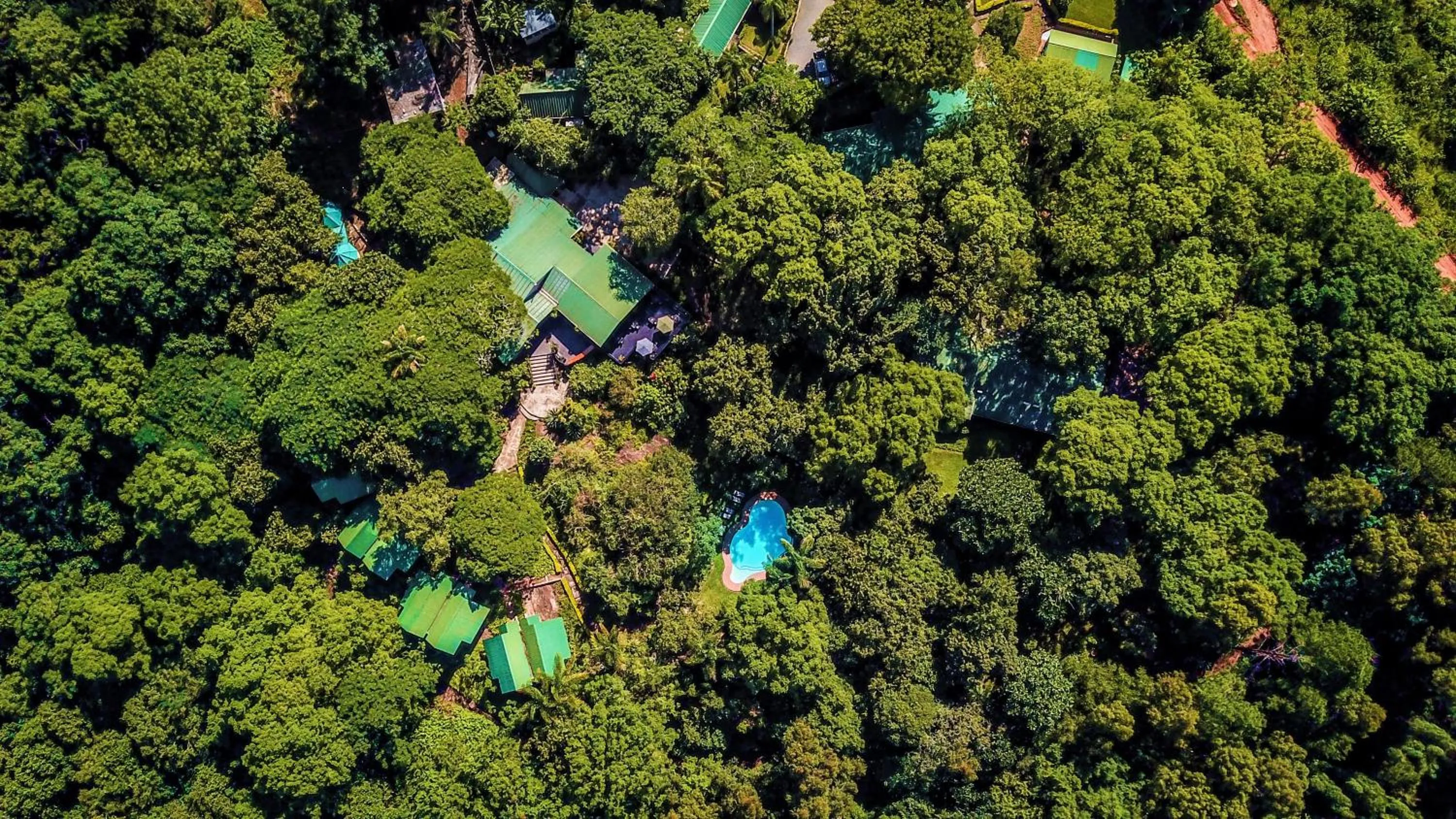 Bird's eye view in Mantenga Lodge