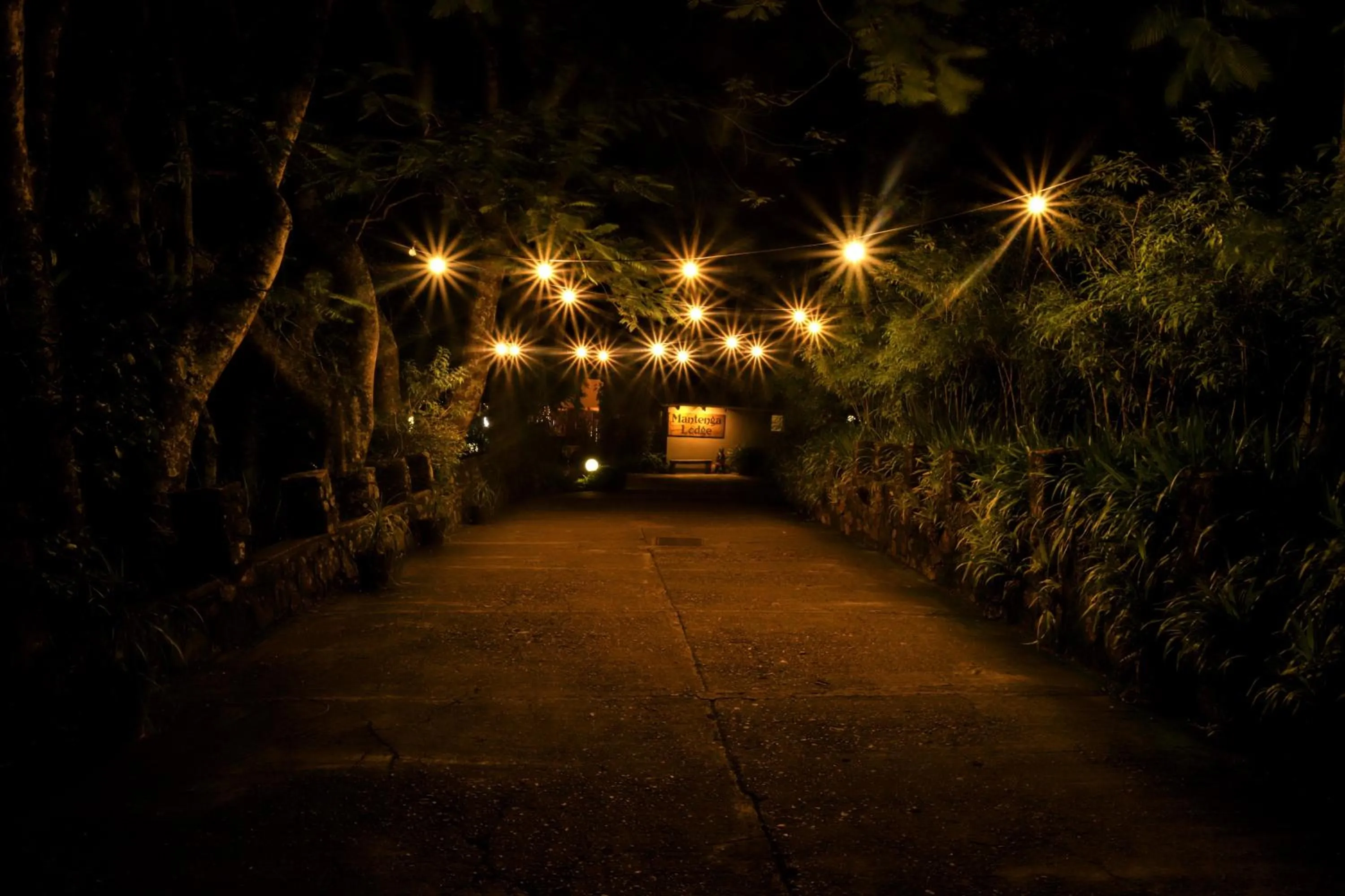 Facade/entrance in Mantenga Lodge