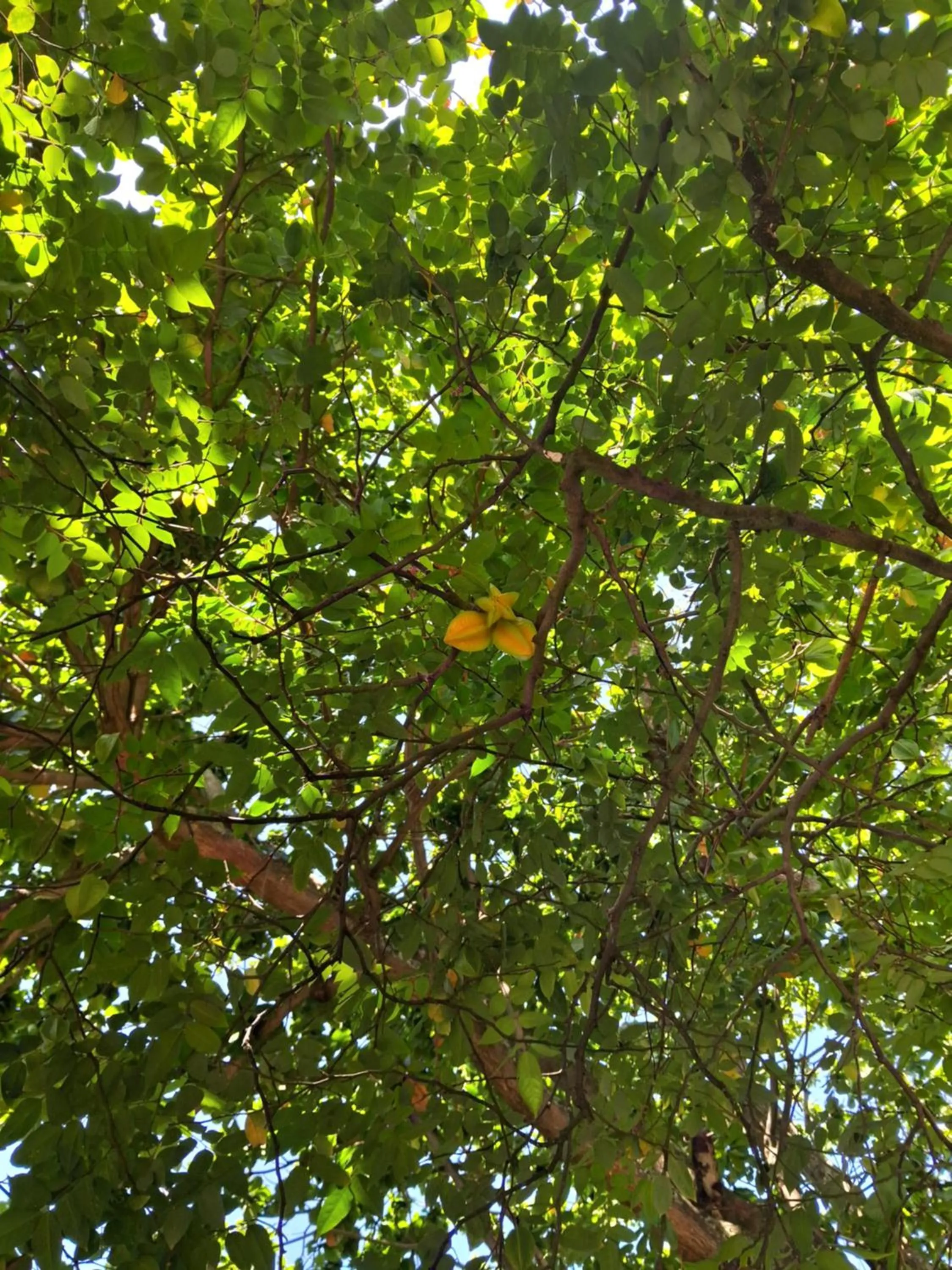 Hotel Pedra da Concha