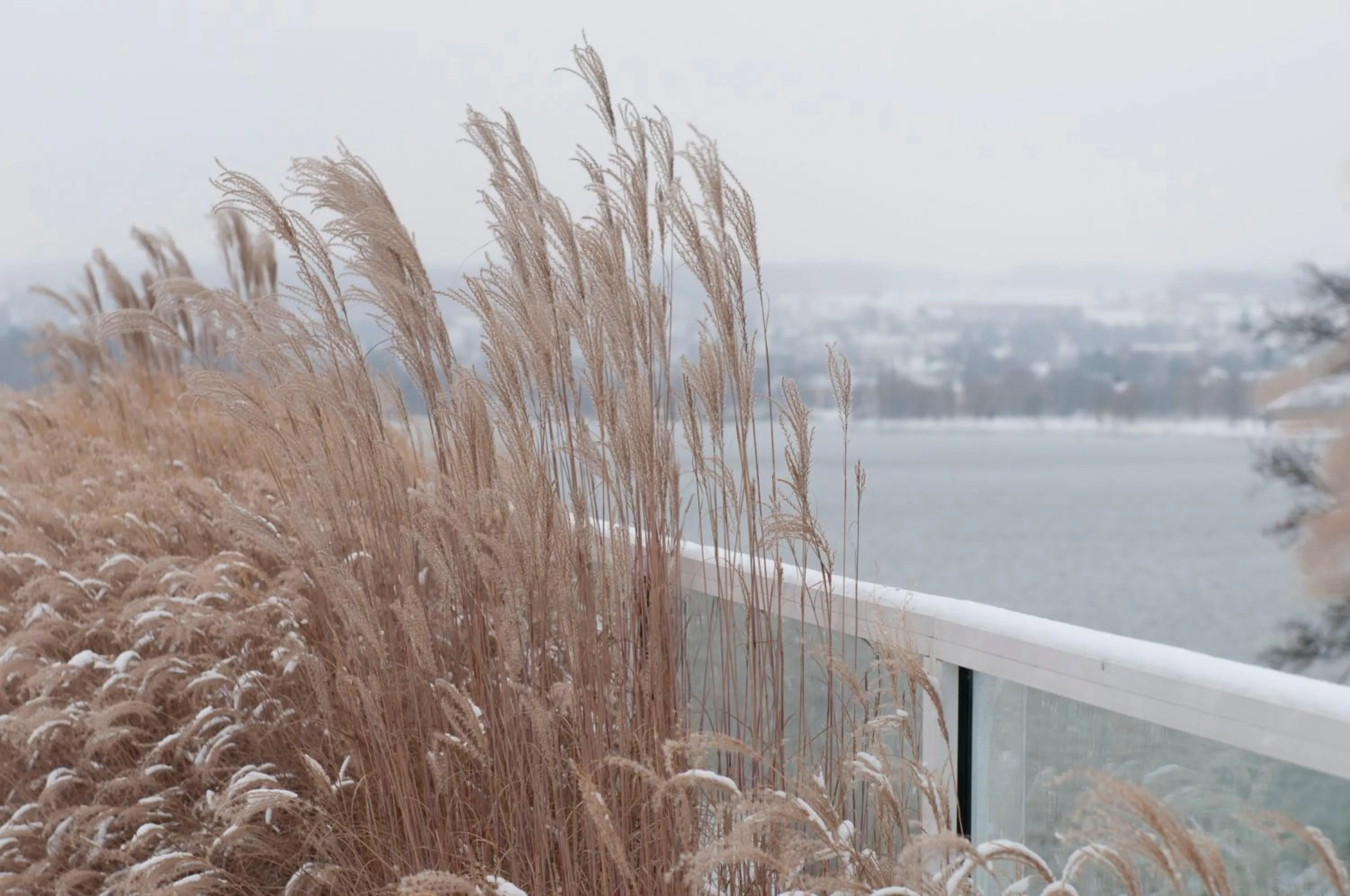 View (from property/room) in RIVA - Das Hotel am Bodensee