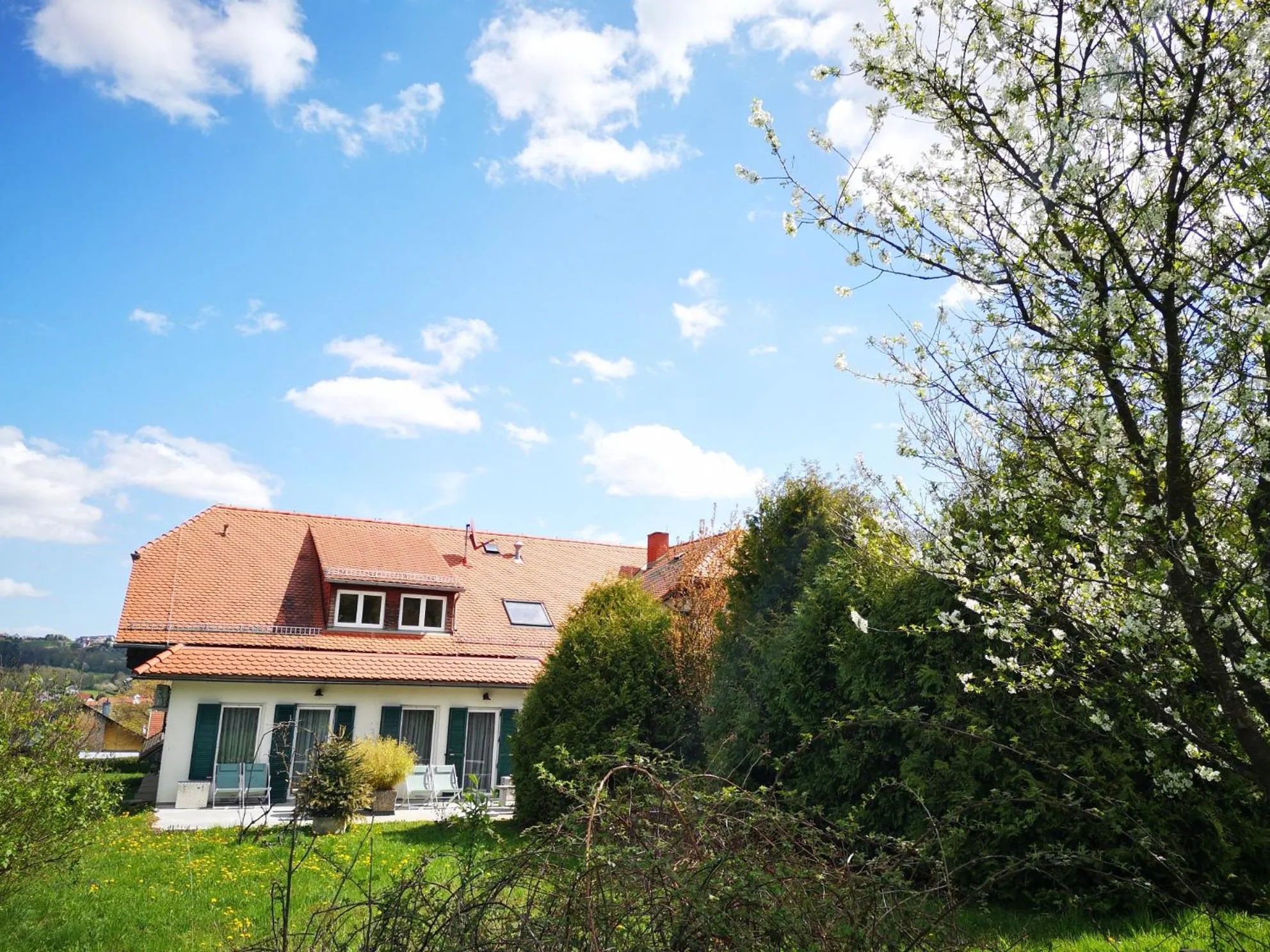 Garden in Aparthotel "Goldener Hahn Apartments"