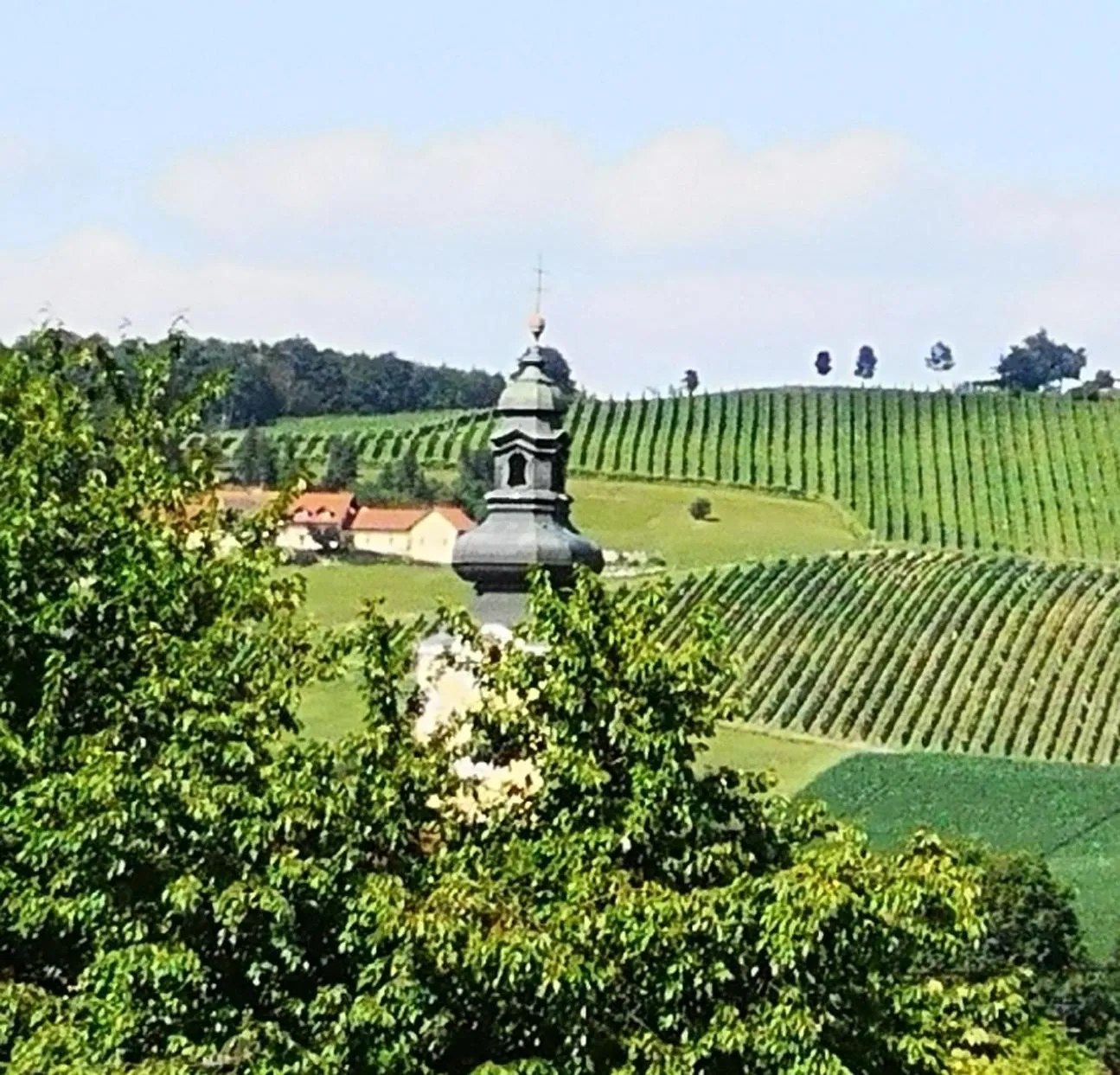 Nearby landmark in Aparthotel "Goldener Hahn Apartments"