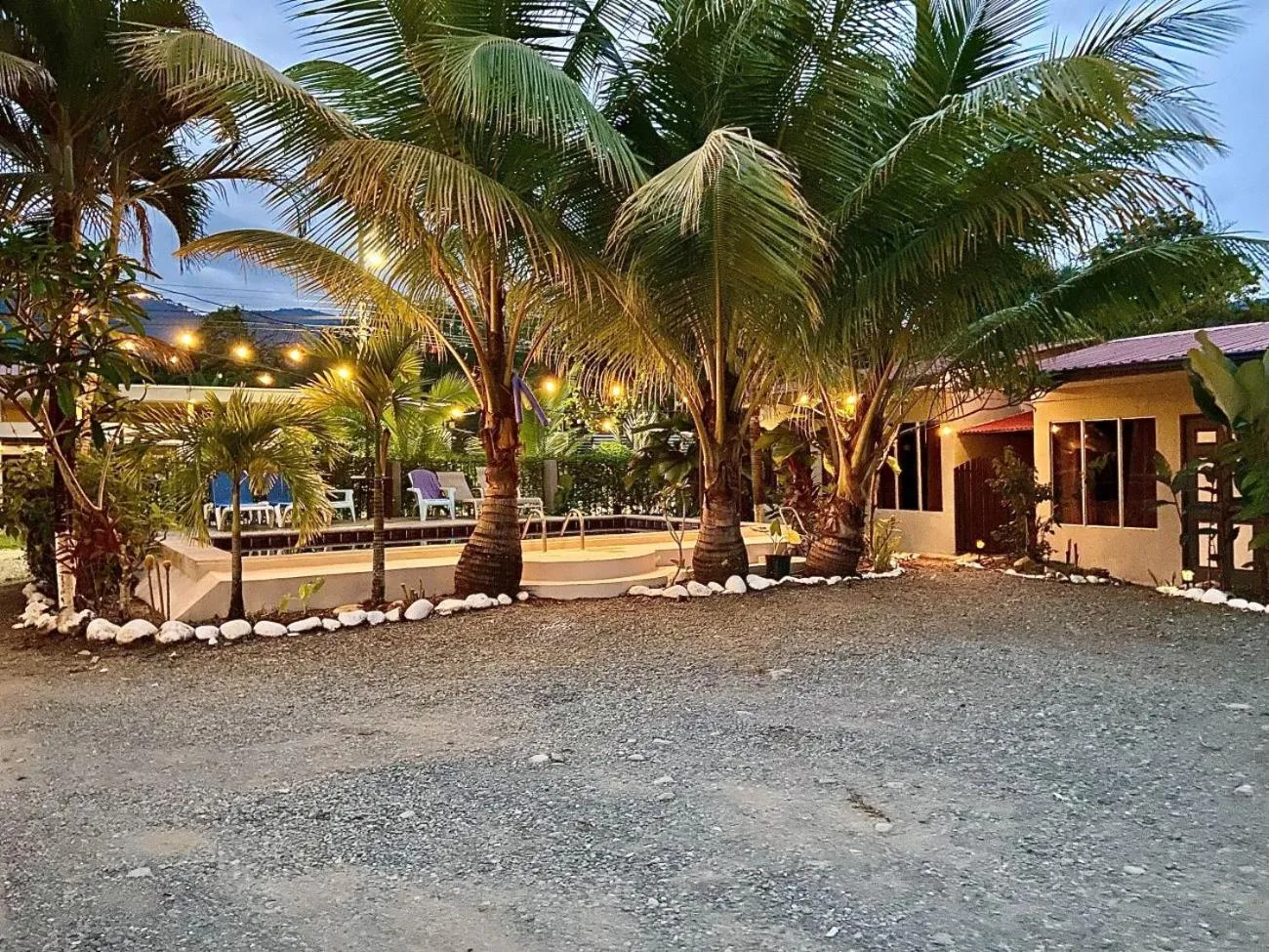 Off site in Rooms & Pool Macaws