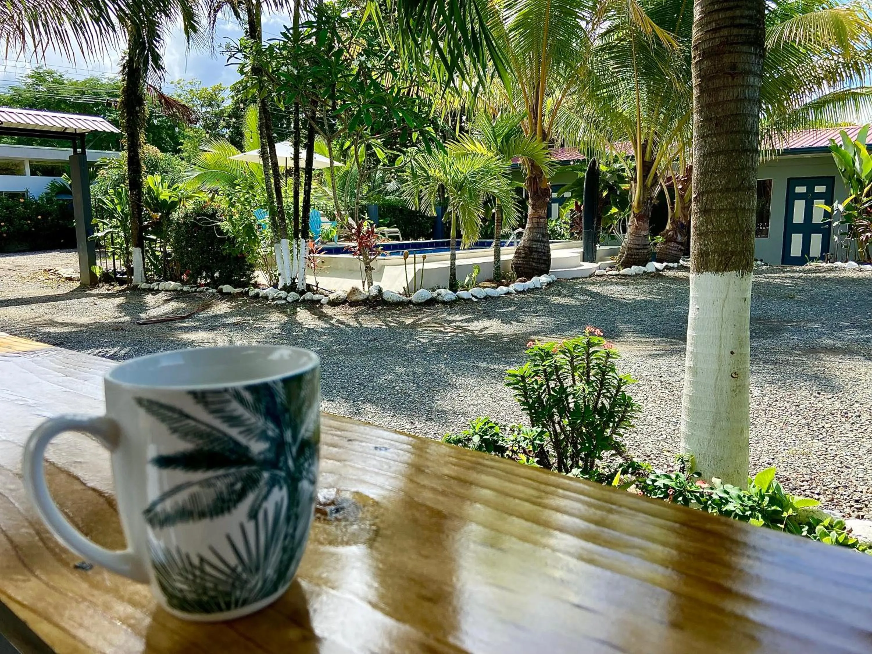 Communal kitchen in Rooms & Pool Macaws