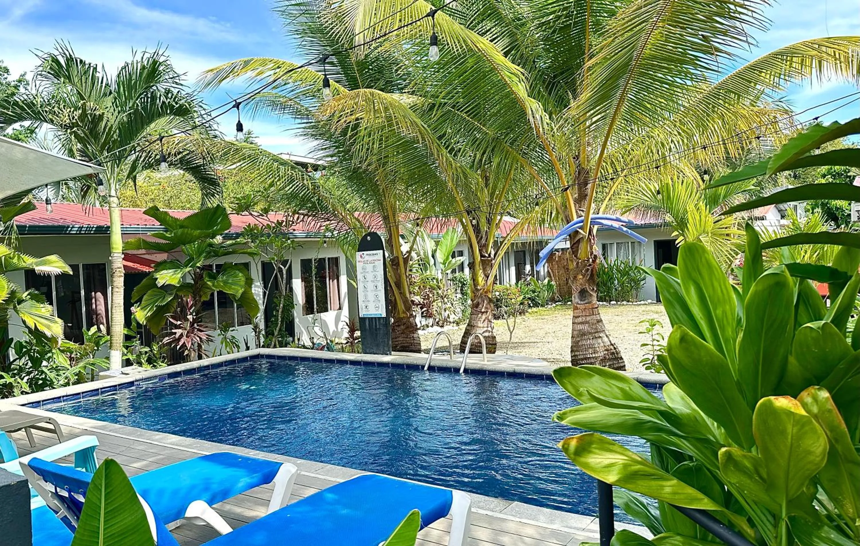 Swimming pool in Rooms & Pool Macaws