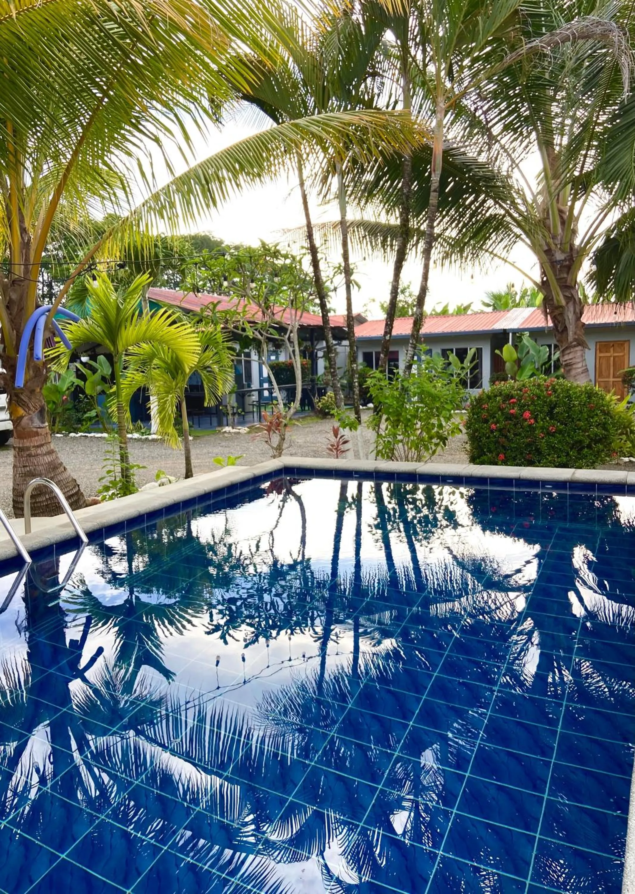 Swimming pool in Rooms & Pool Macaws