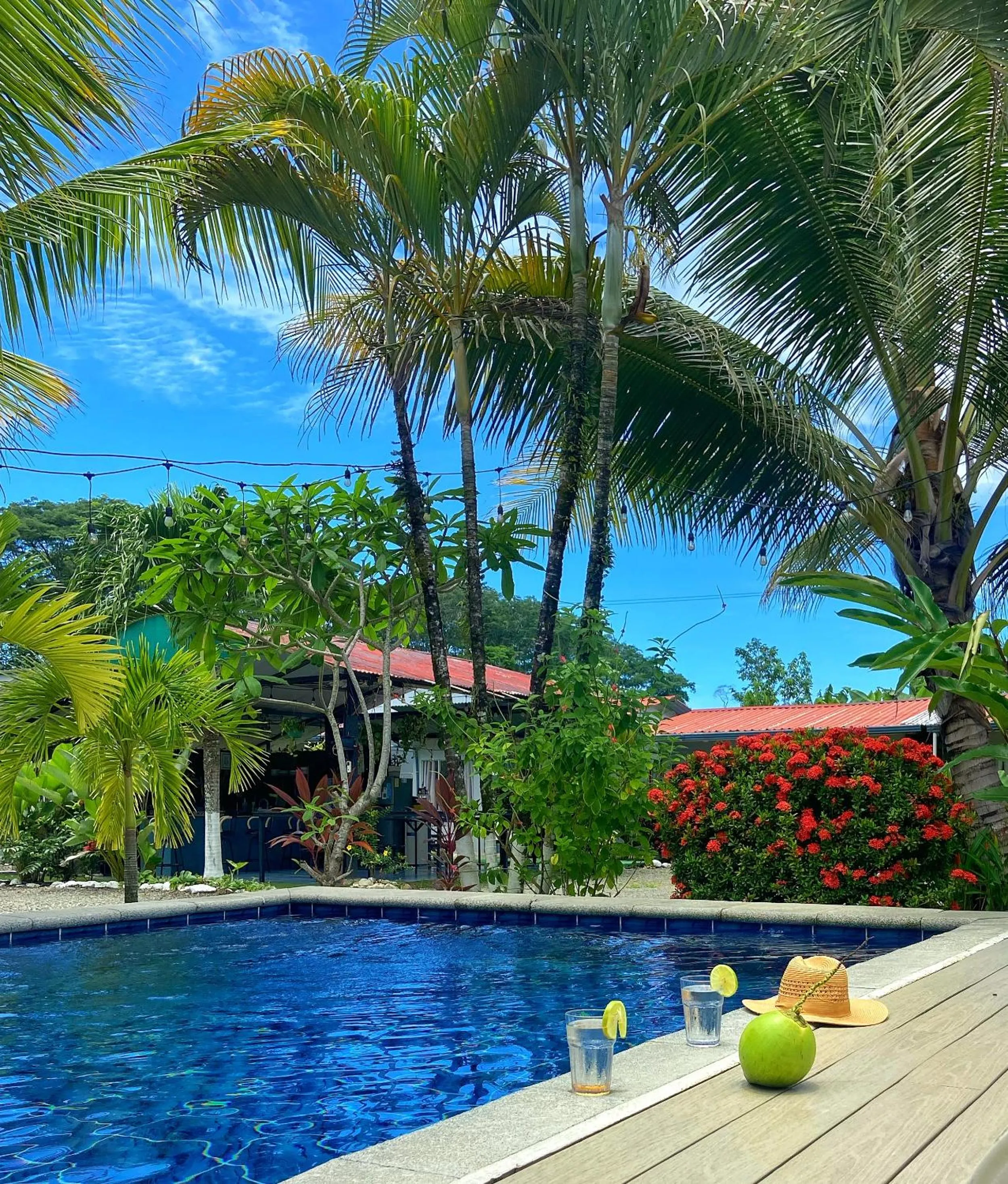 Swimming pool in Rooms & Pool Macaws