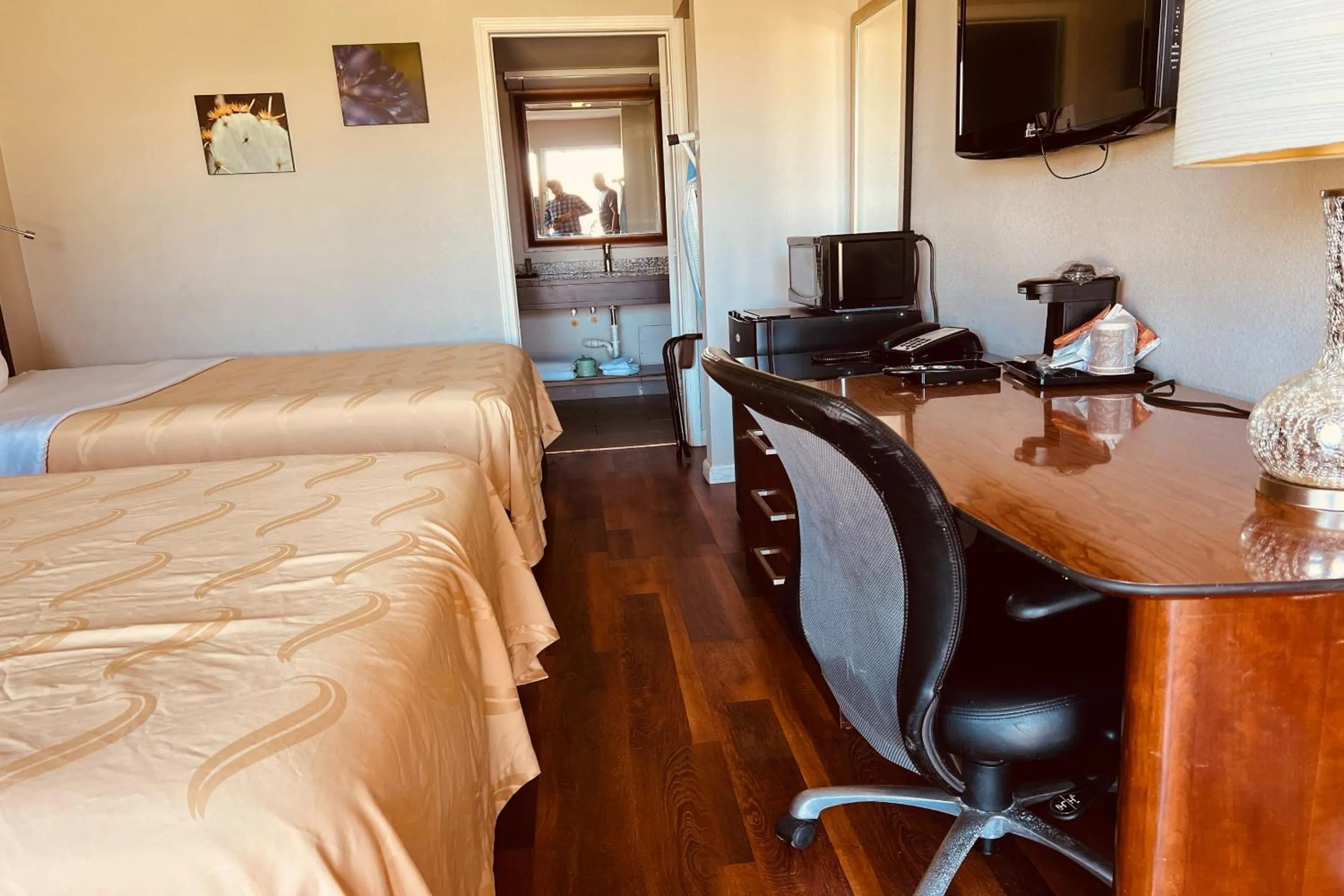 2 Queen Beds Accessible Non-Smoking - single occupancy in Cambridge Inn