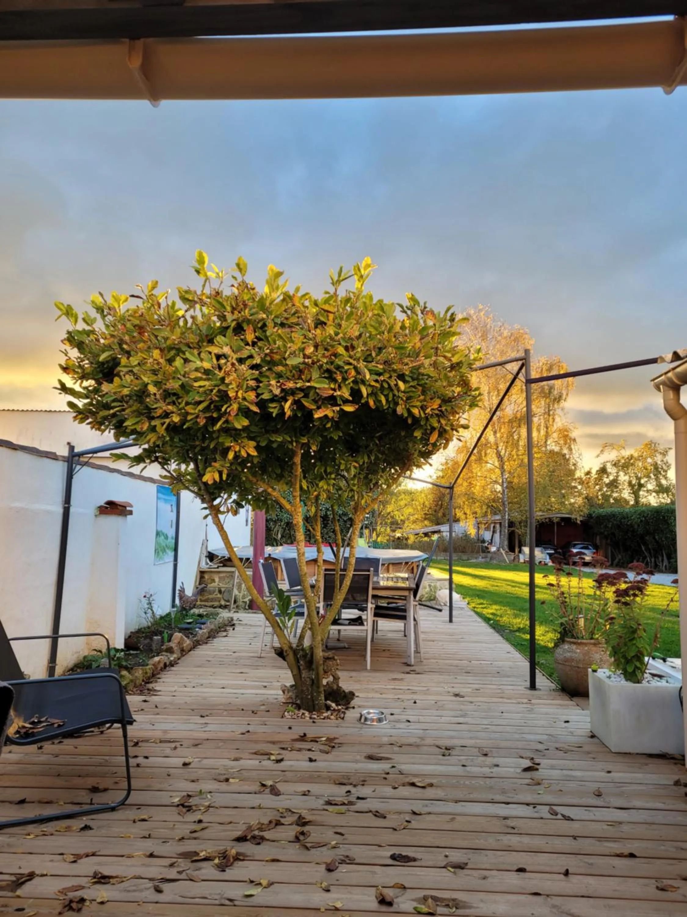 Patio in La genotière