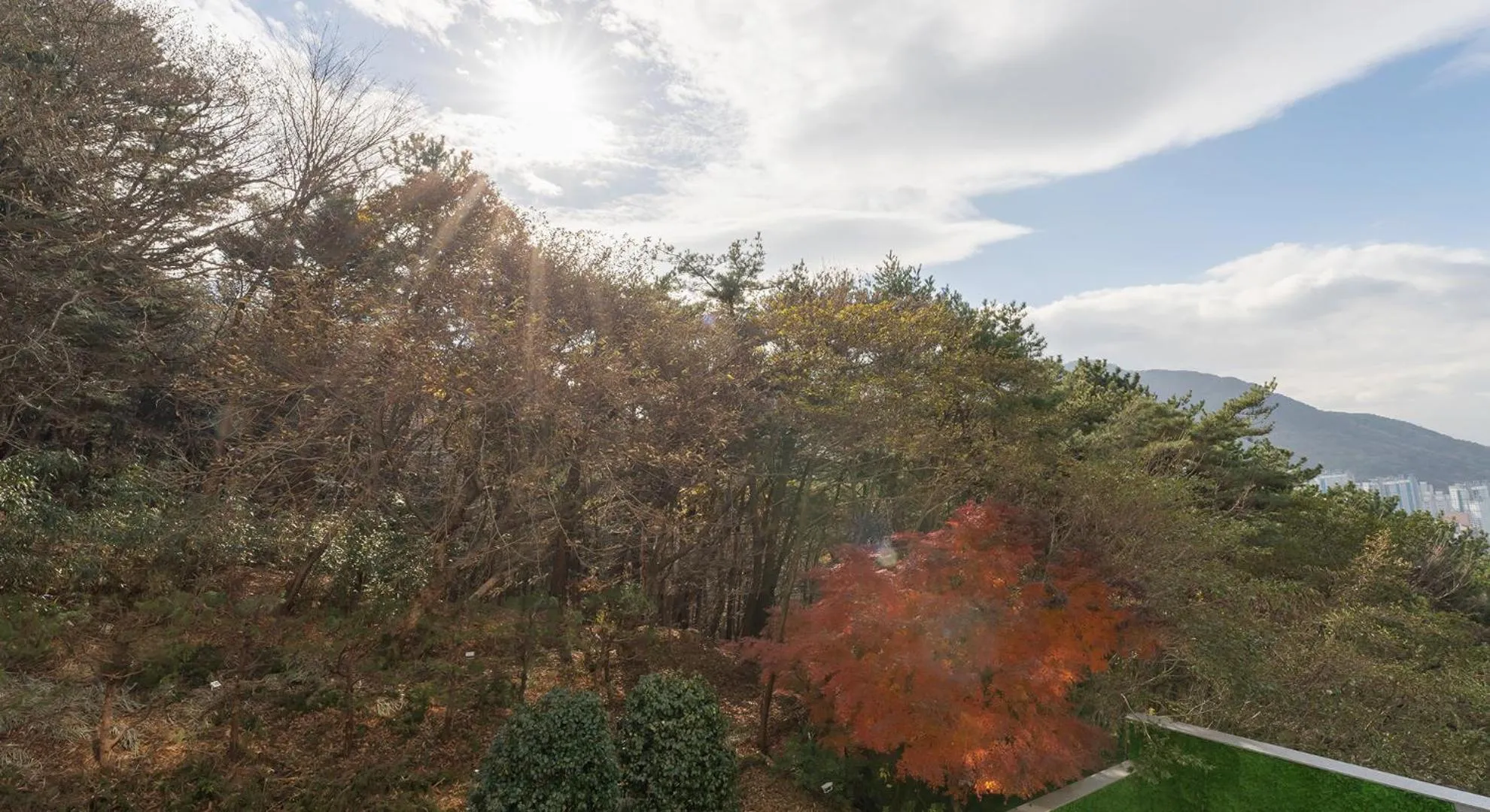 Natural landscape in Denbasta forest Hotel