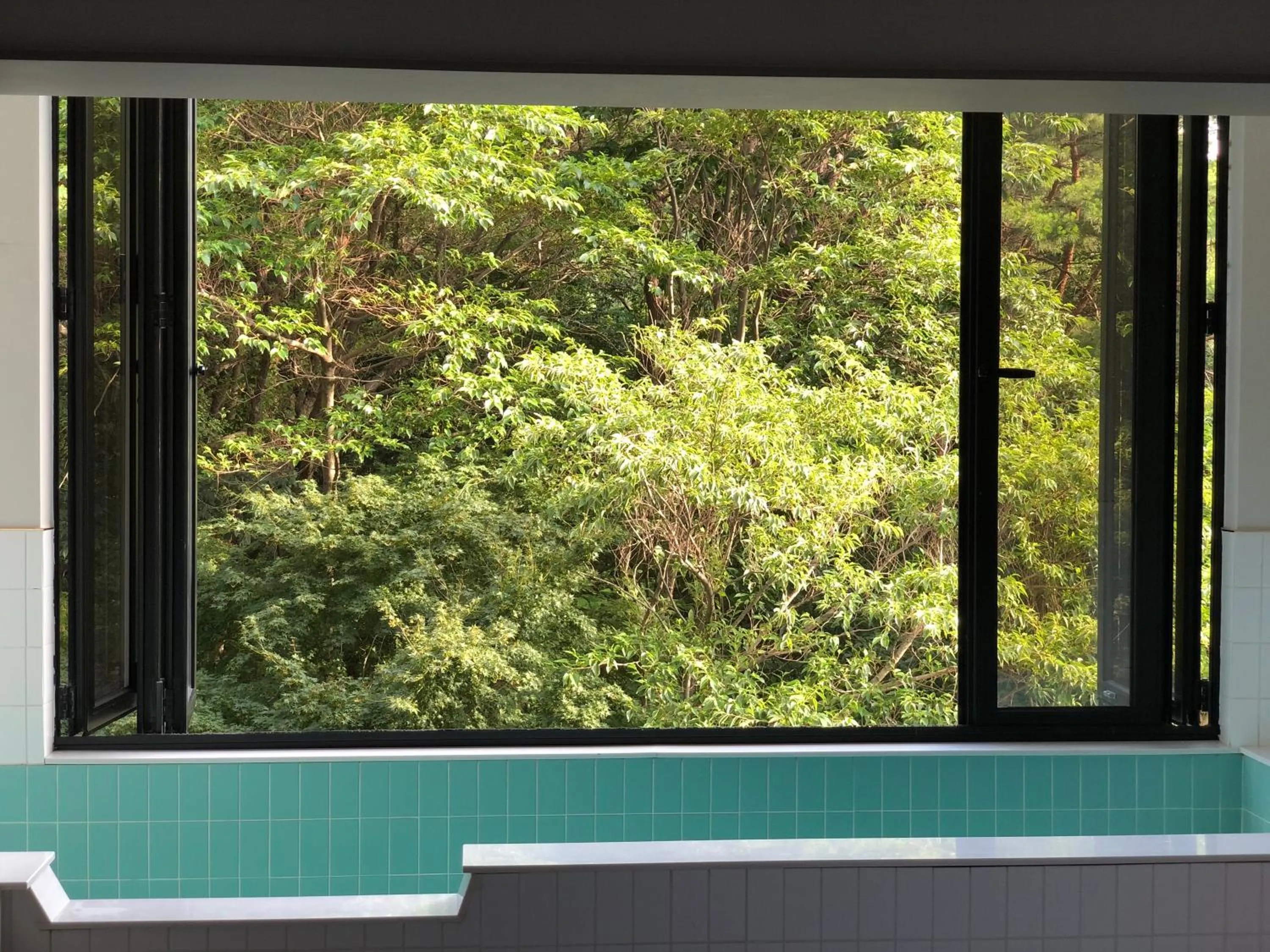 View (from property/room) in Denbasta forest Hotel