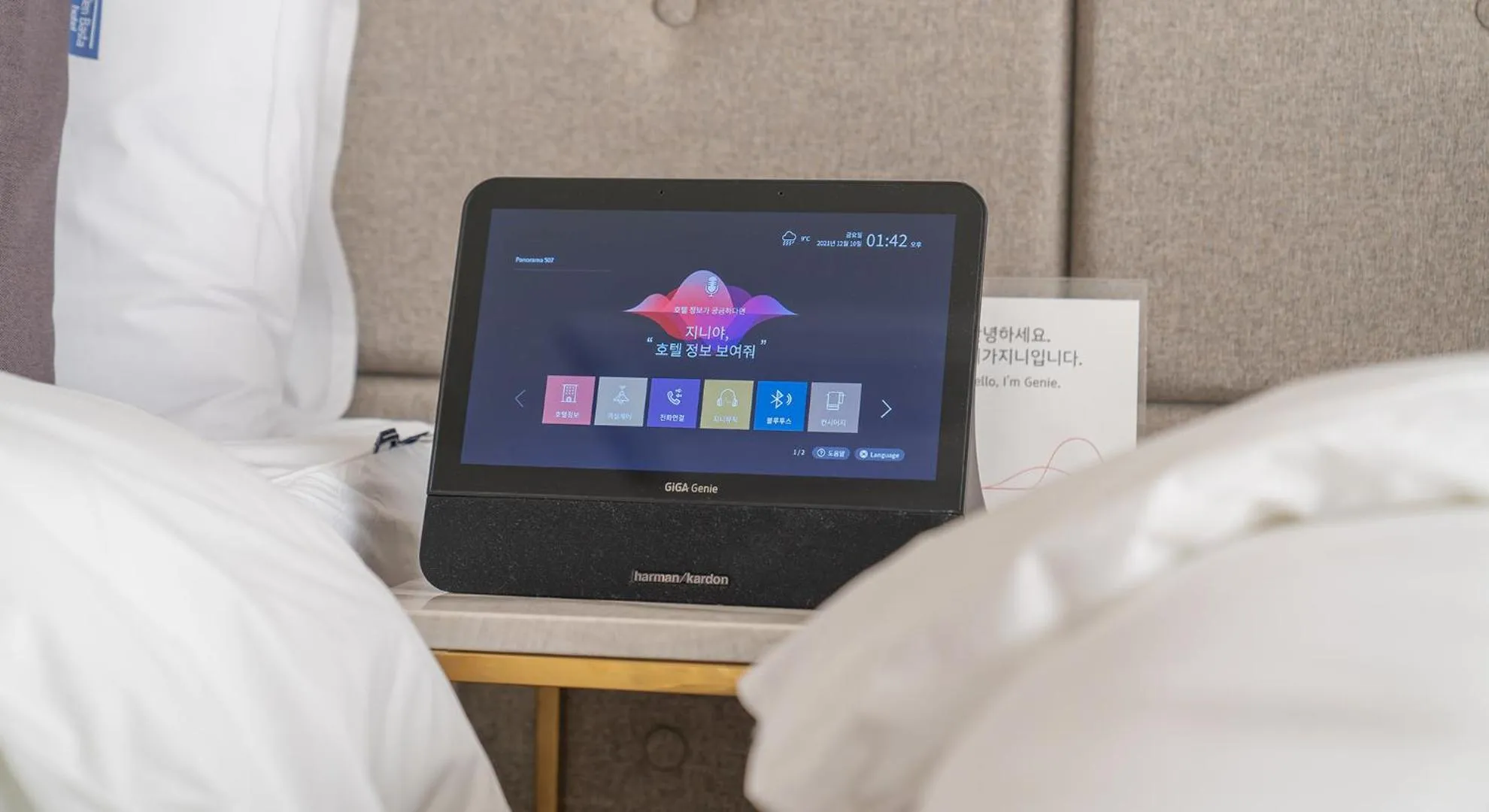 TV and multimedia, Bed in Denbasta forest Hotel