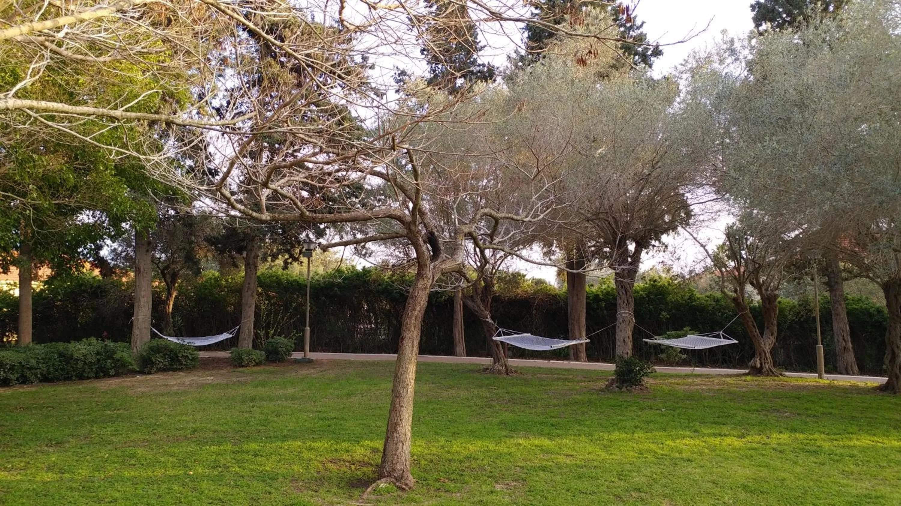 Natural landscape in Eden Inn