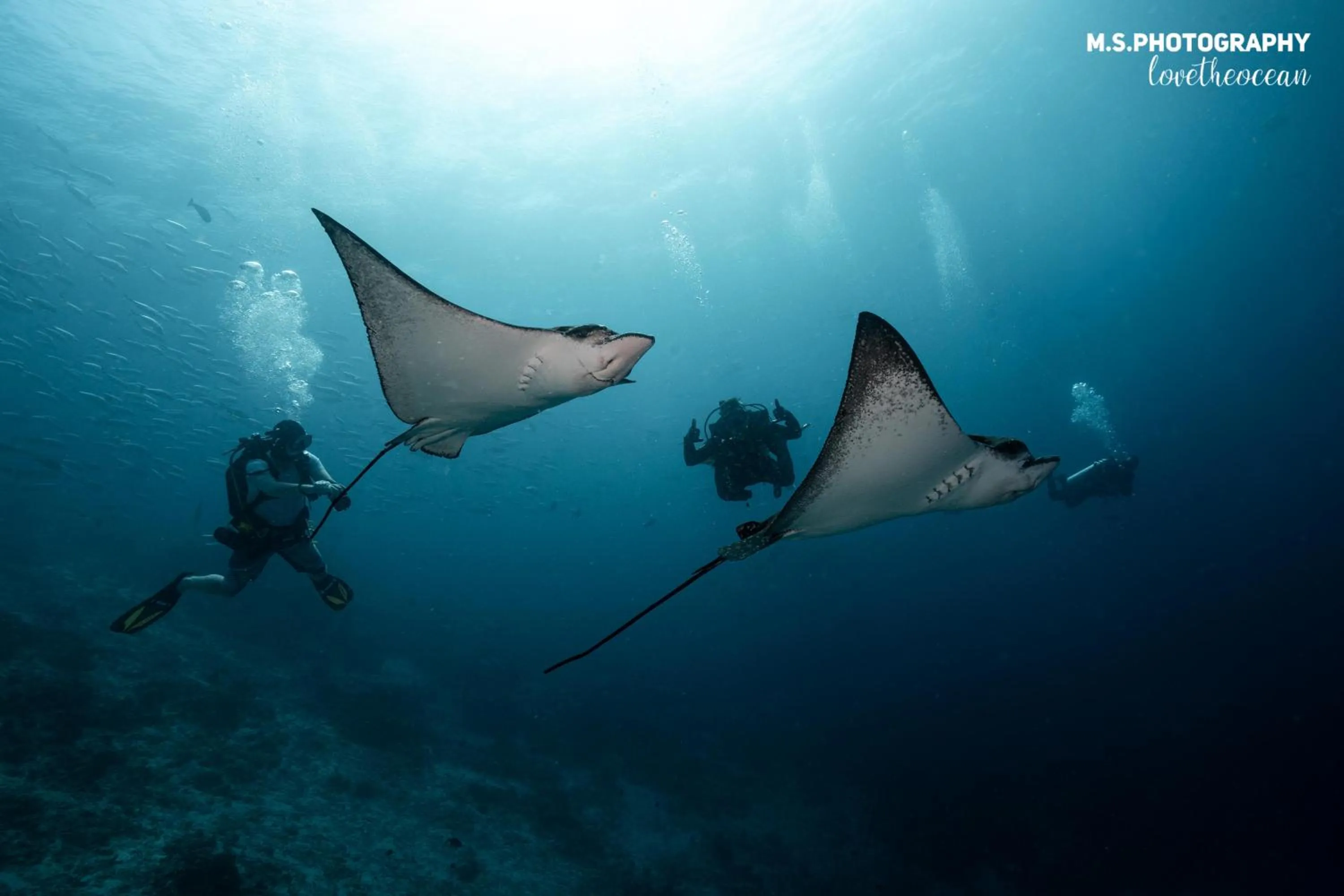 Activities in Summer Vibes Beach Front