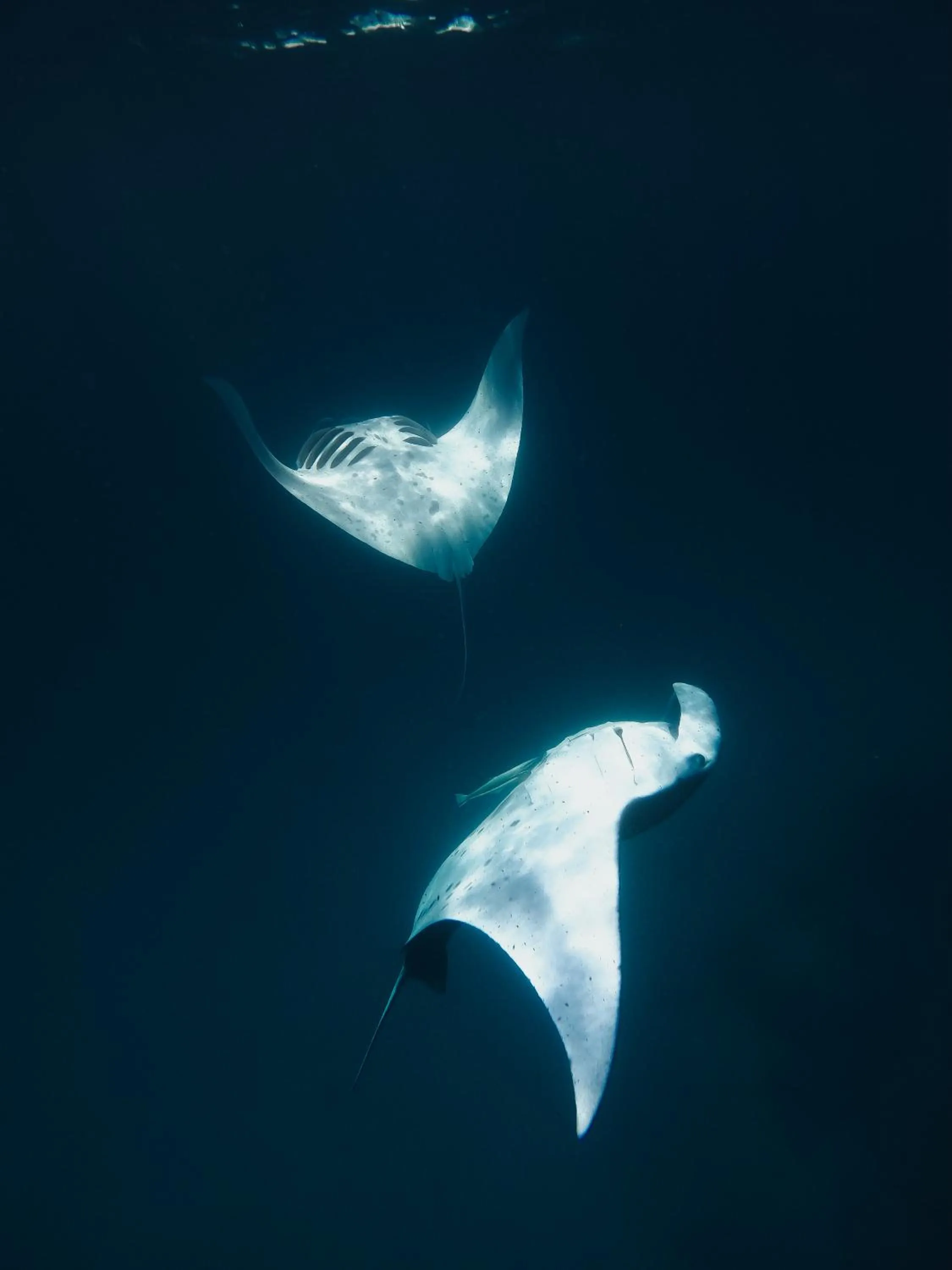 Activities in Summer Vibes Beach Front