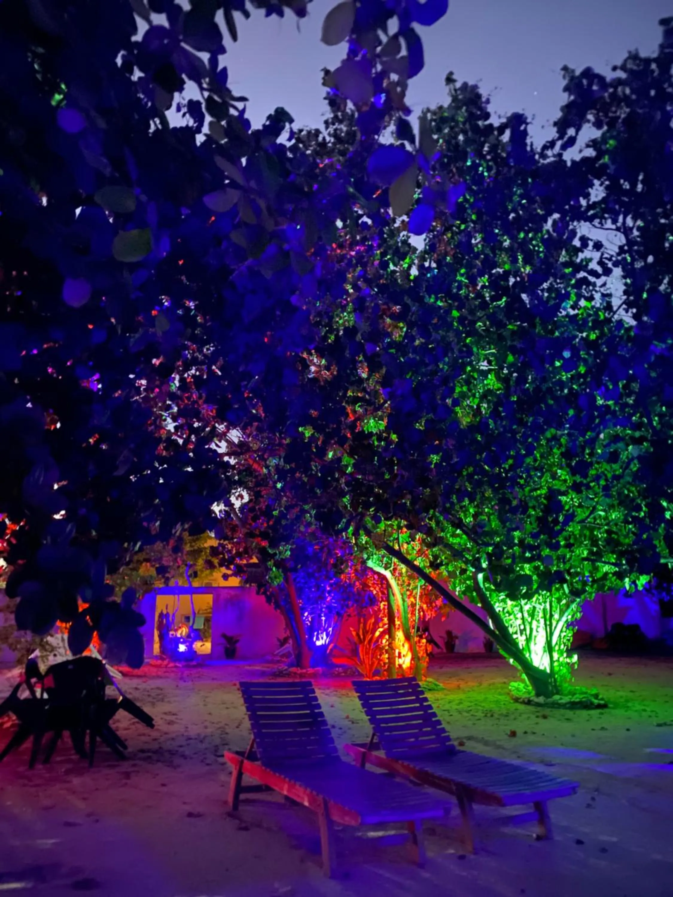 People in Summer Vibes Beach Front