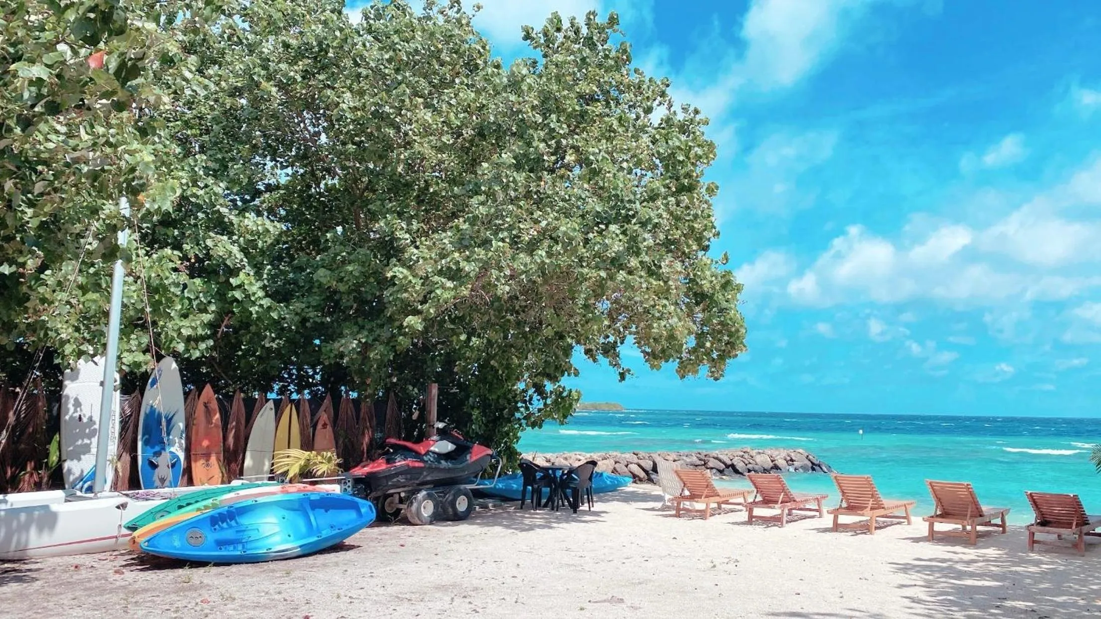 Beach in Summer Vibes Beach Front