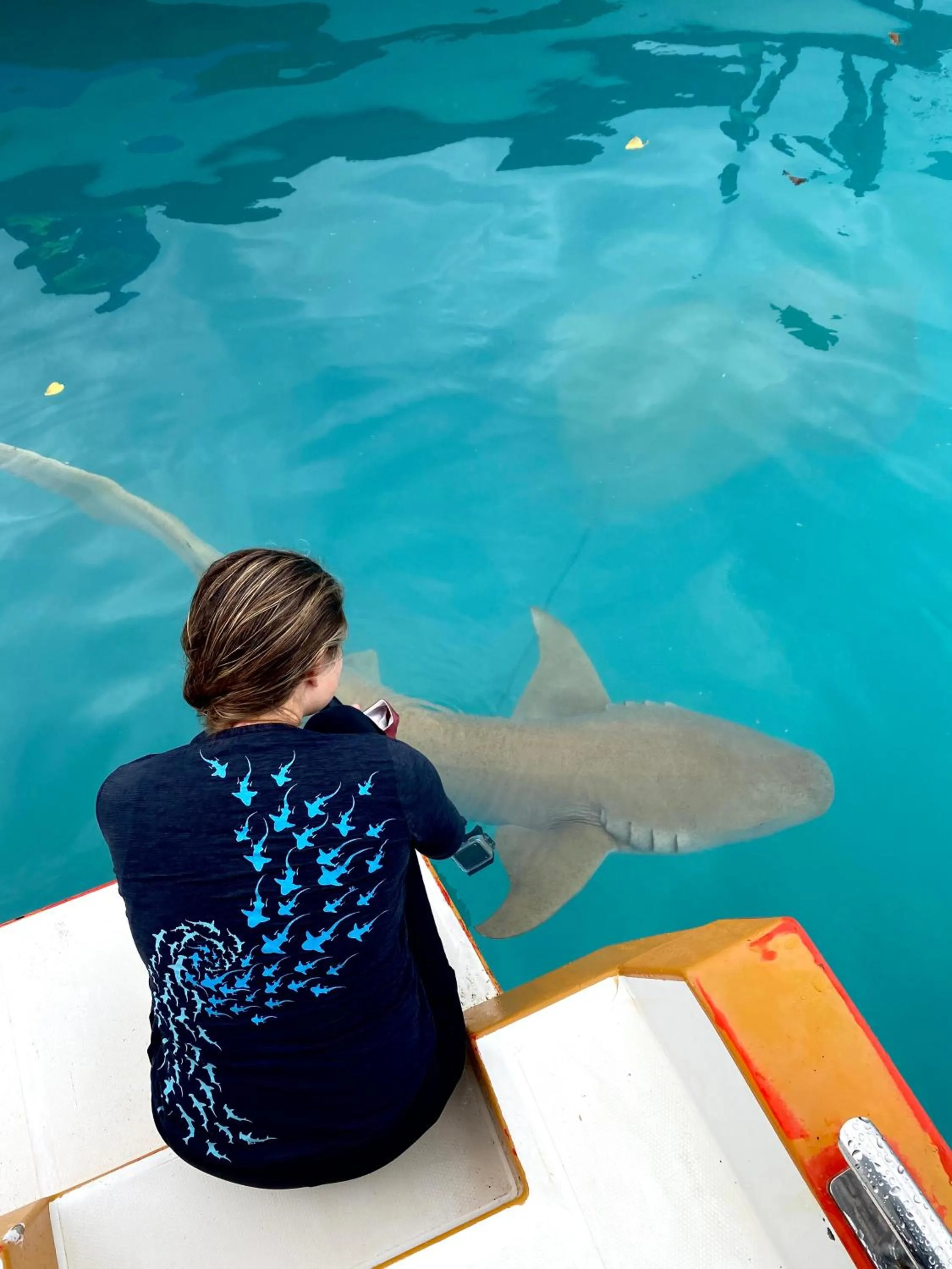 Diving in Summer Vibes Beach Front