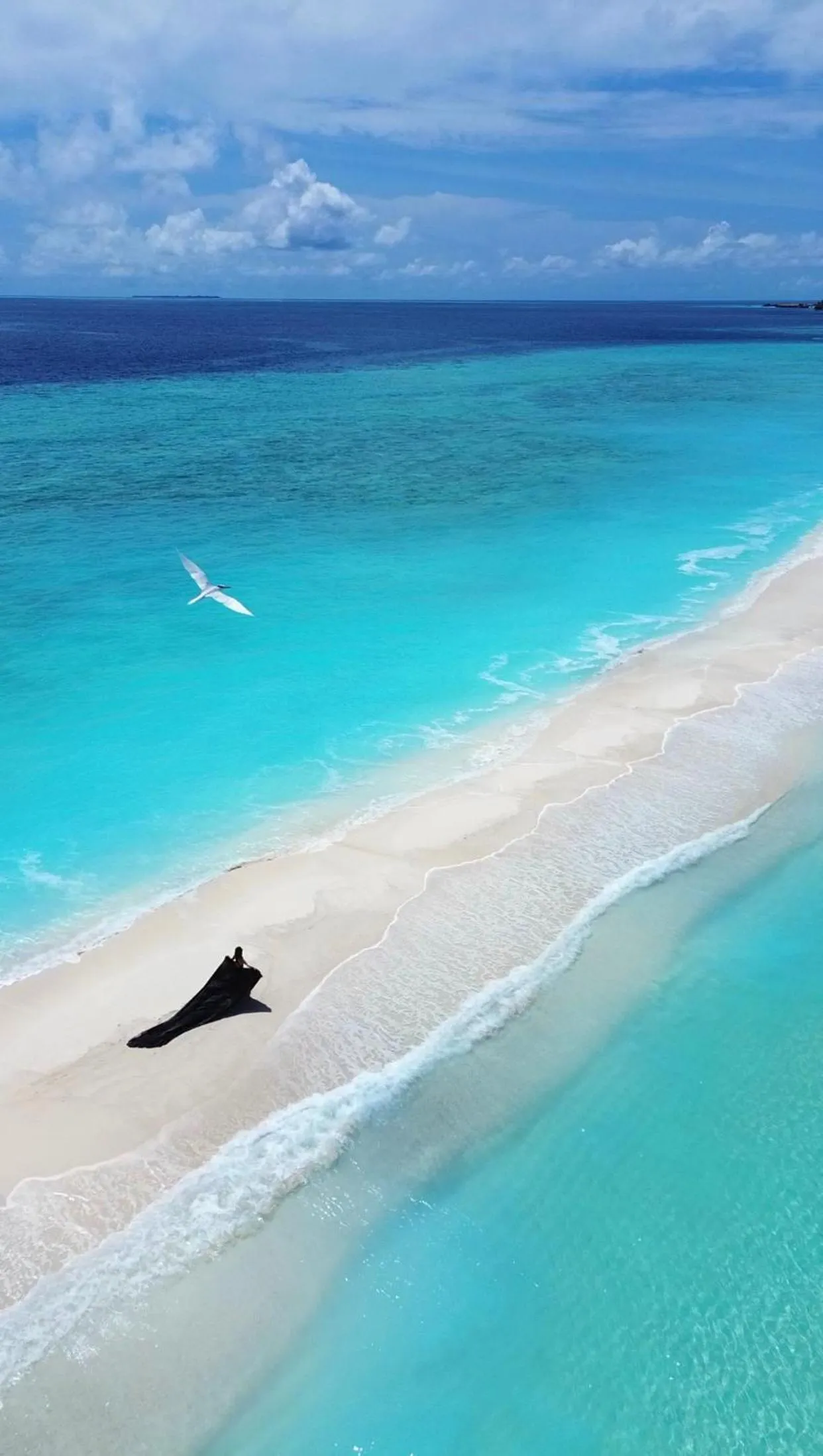 Day in Summer Vibes Beach Front