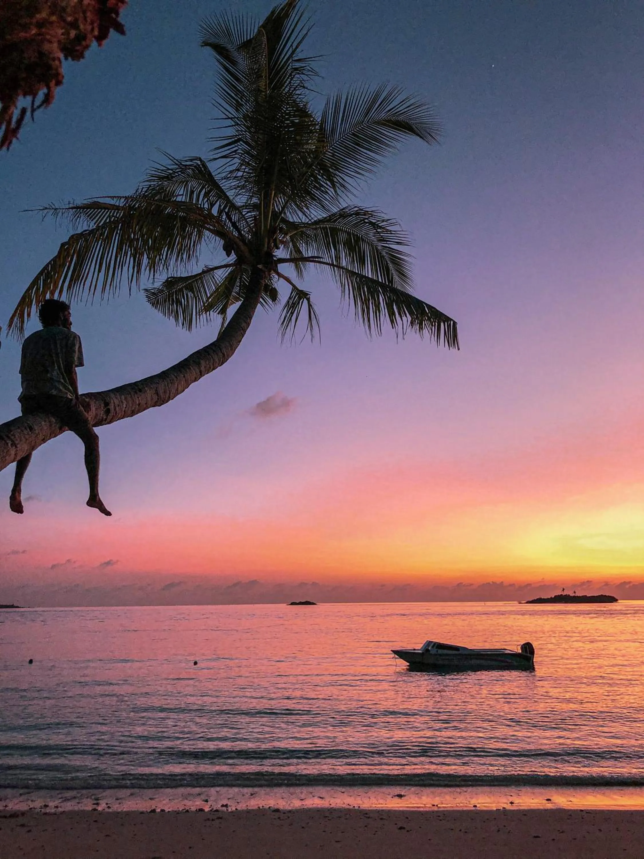 Natural landscape in Summer Vibes Beach Front