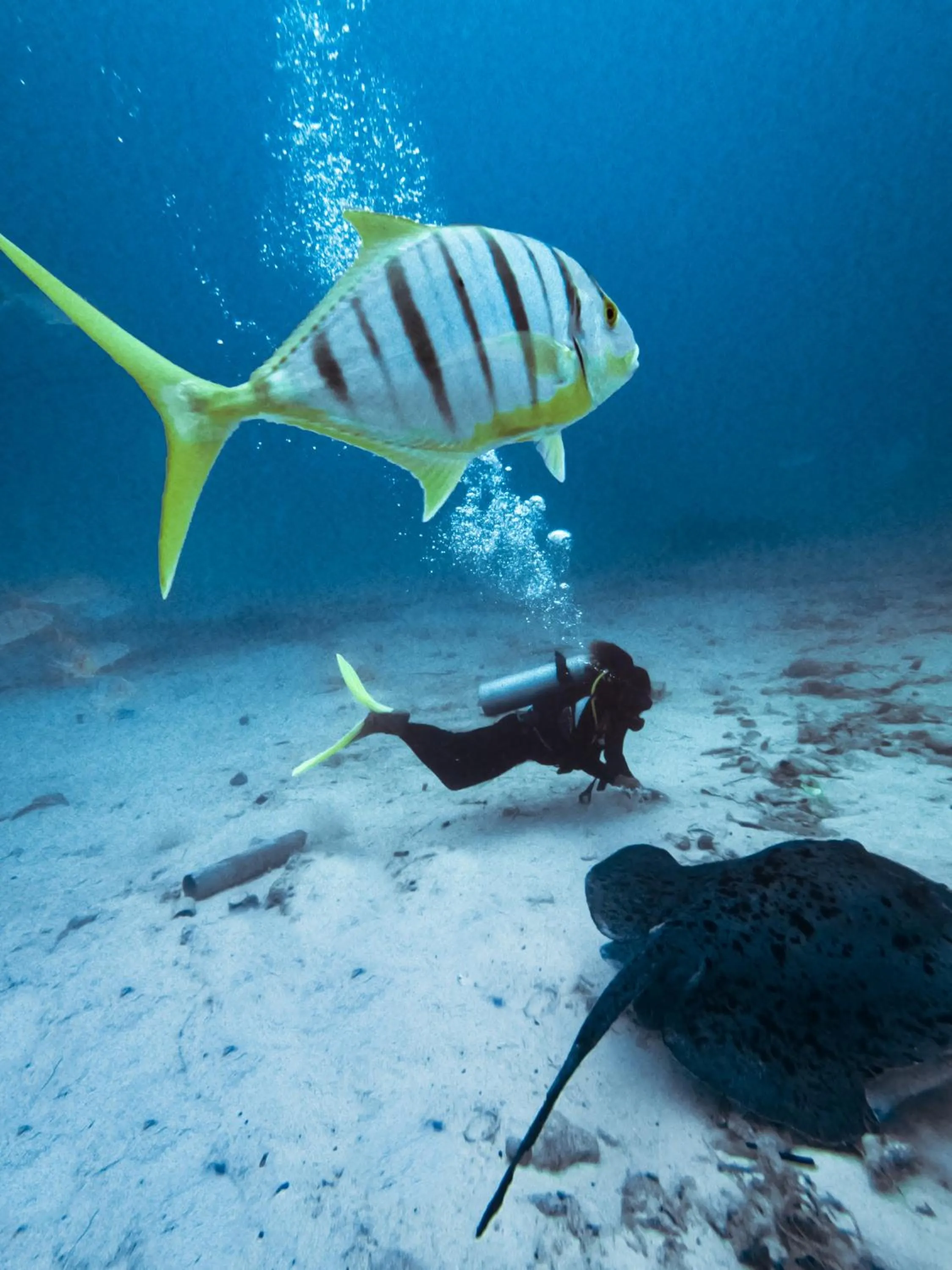 Snorkeling in Summer Vibes Beach Front