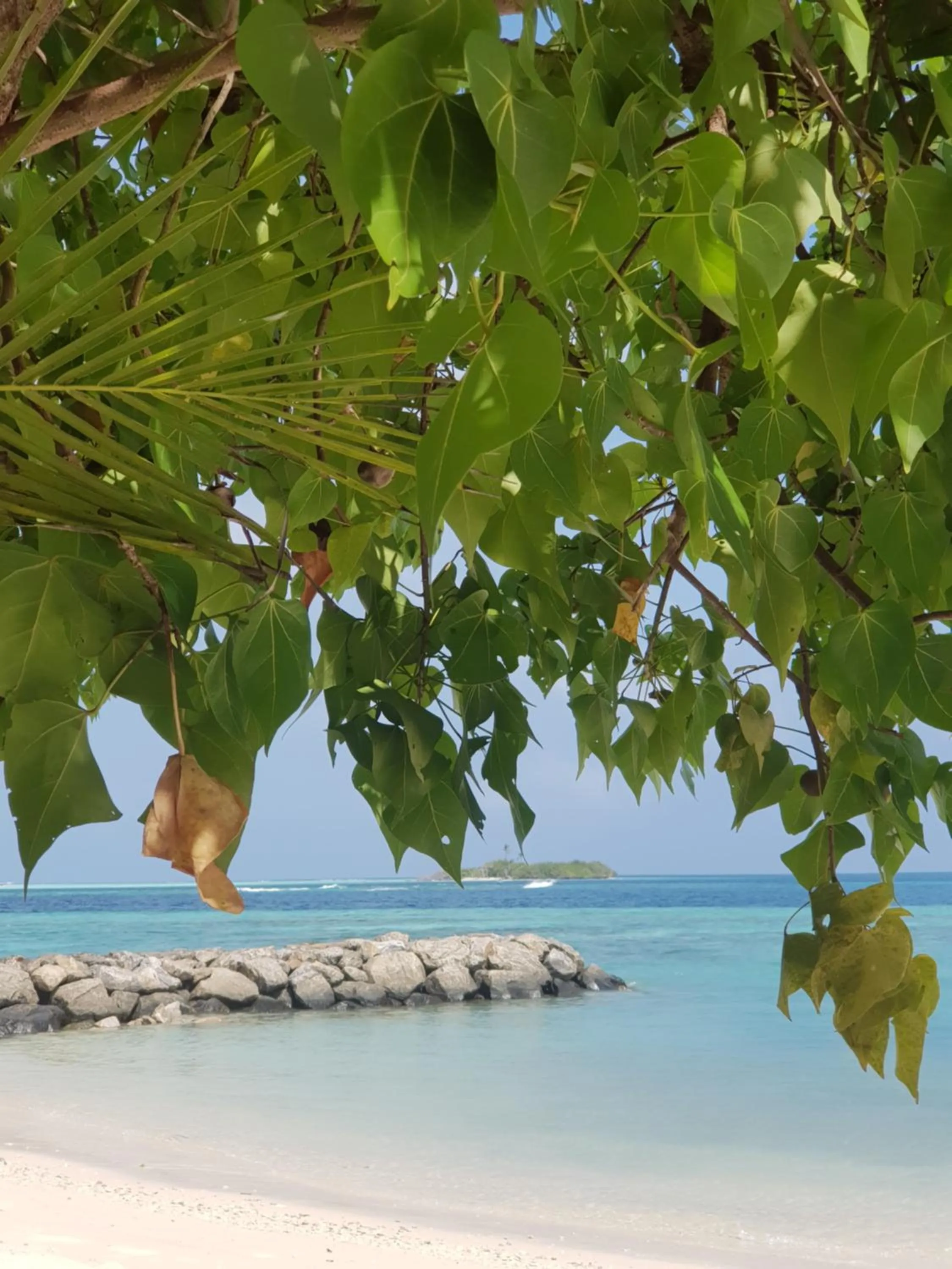 Natural landscape in Summer Vibes Beach Front