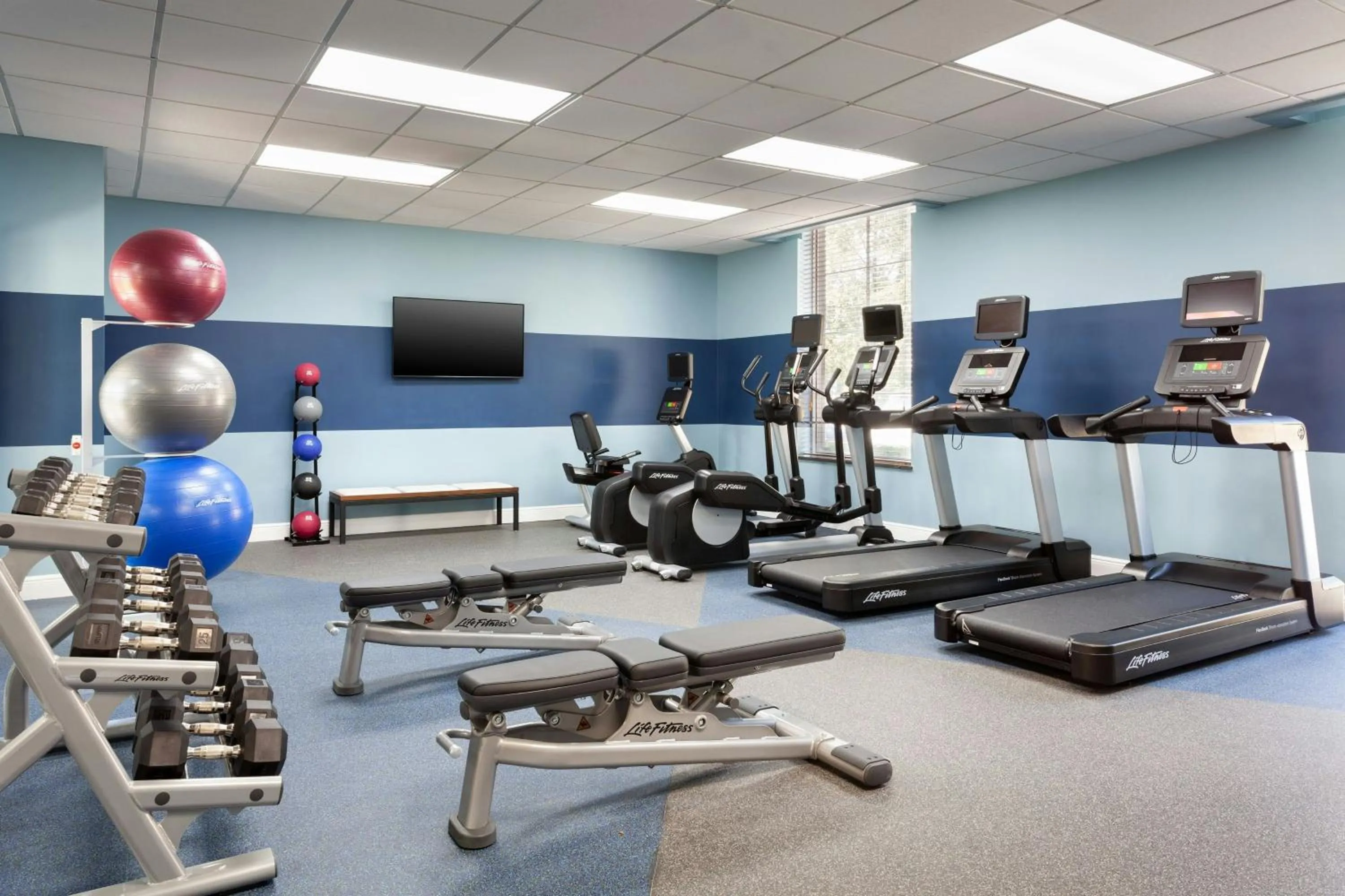 Fitness centre/facilities in Four Points by Sheraton Orlando Convention Center
